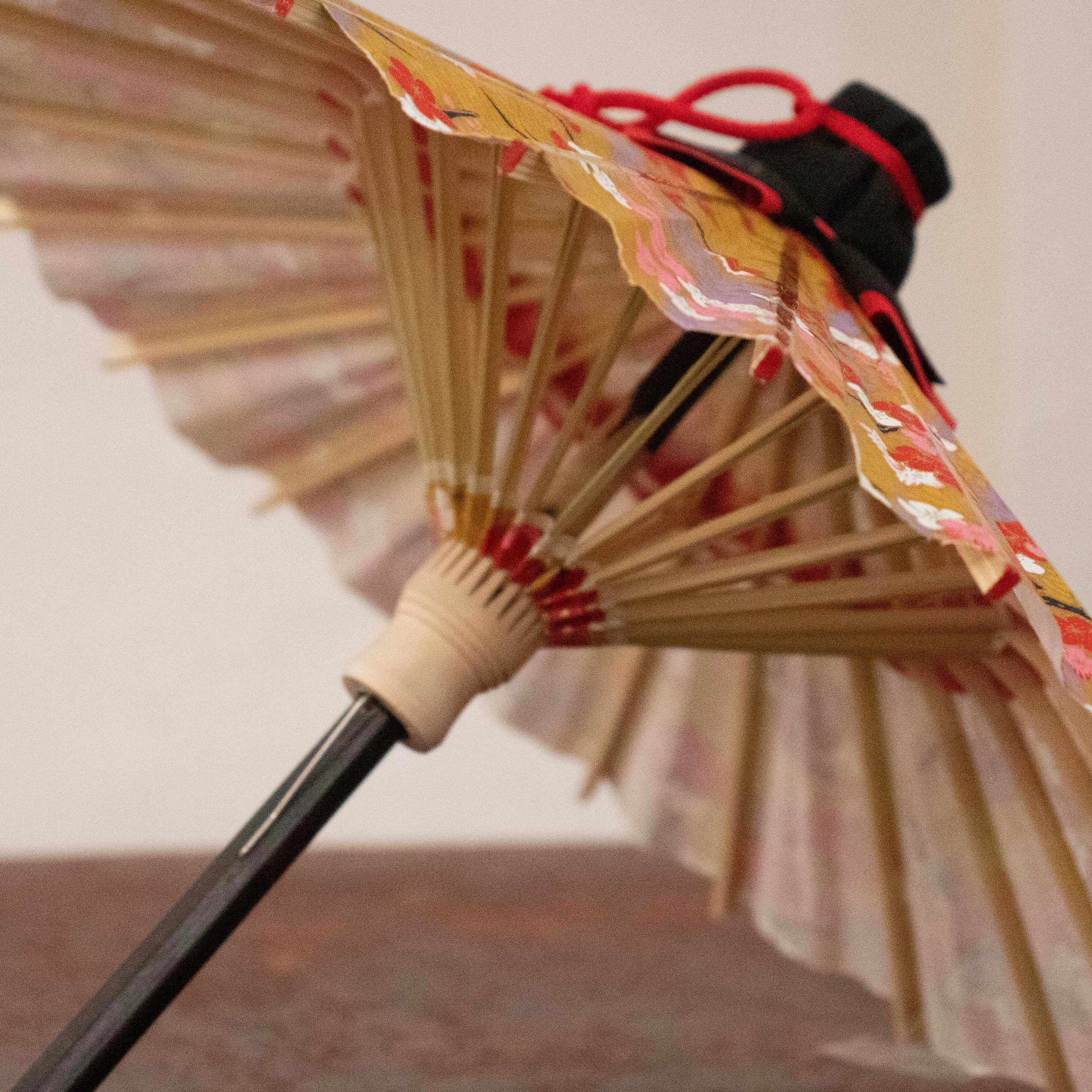 姫和傘 『青海波に梅』山吹