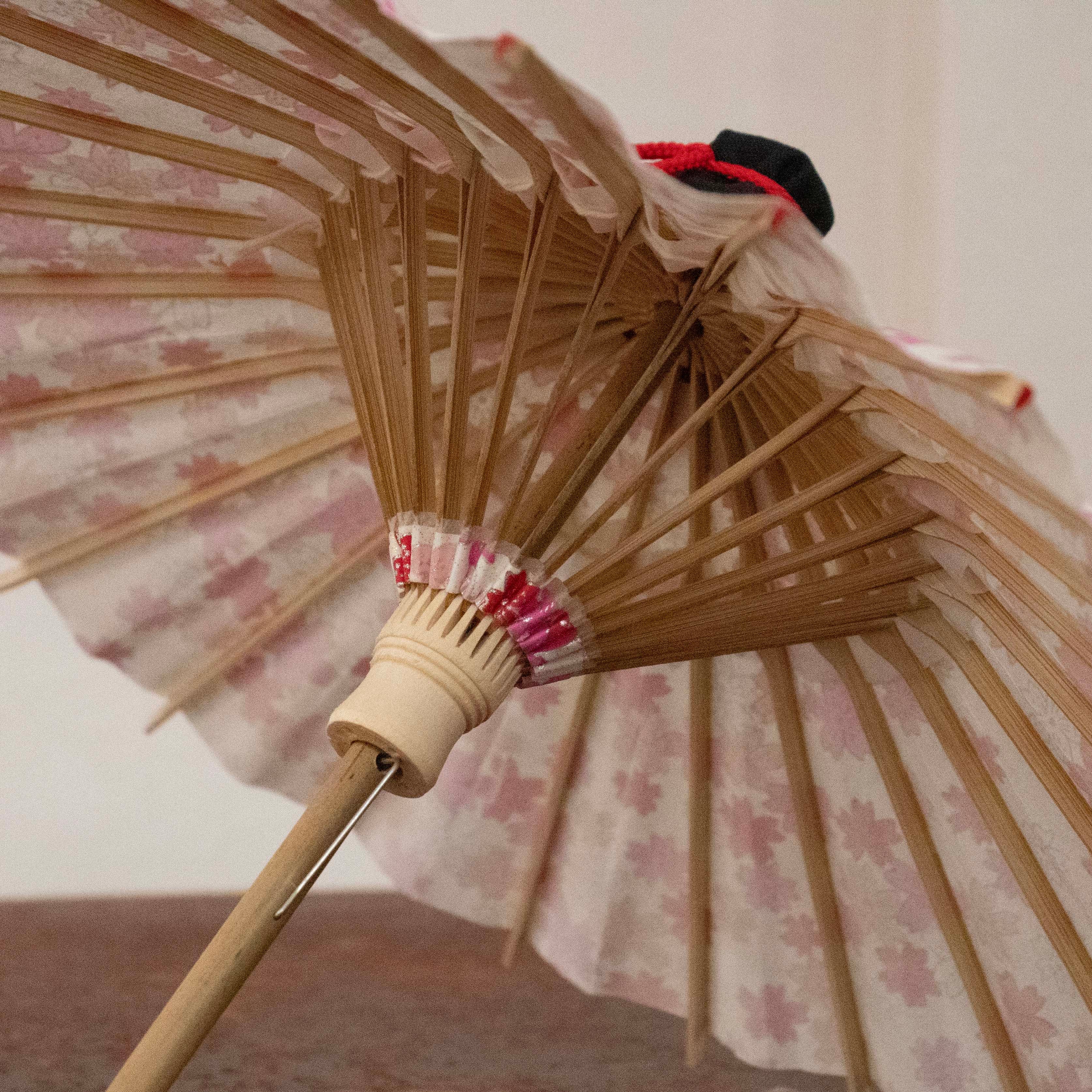 姫和傘 『リボン桜』