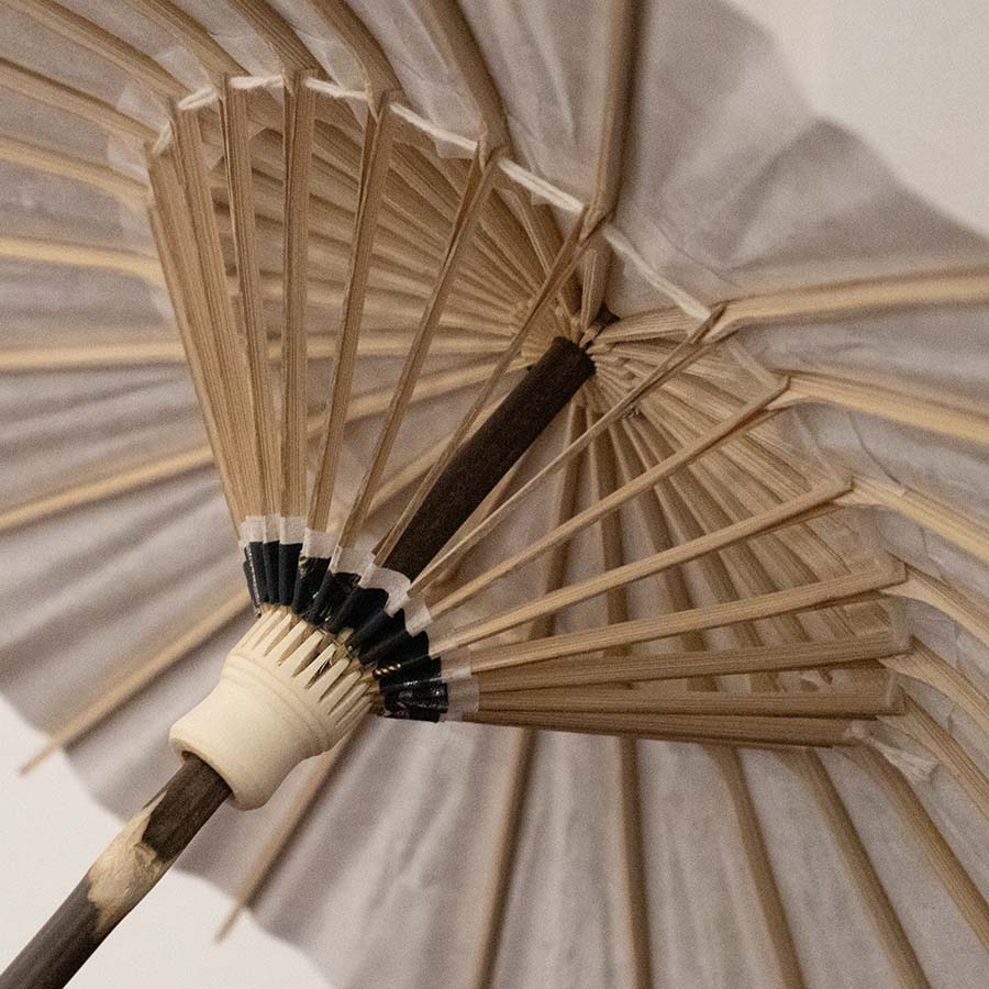 姫和傘 大寸『トンボの舞 黒』