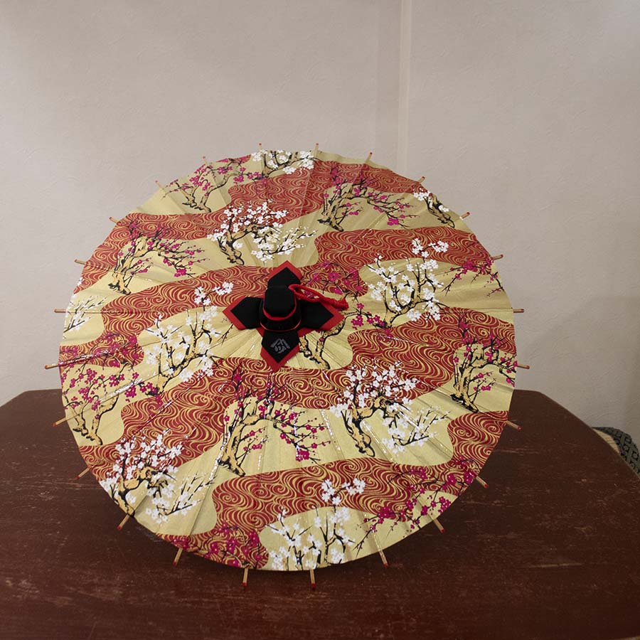 Water Surface/ Mini Wagasa