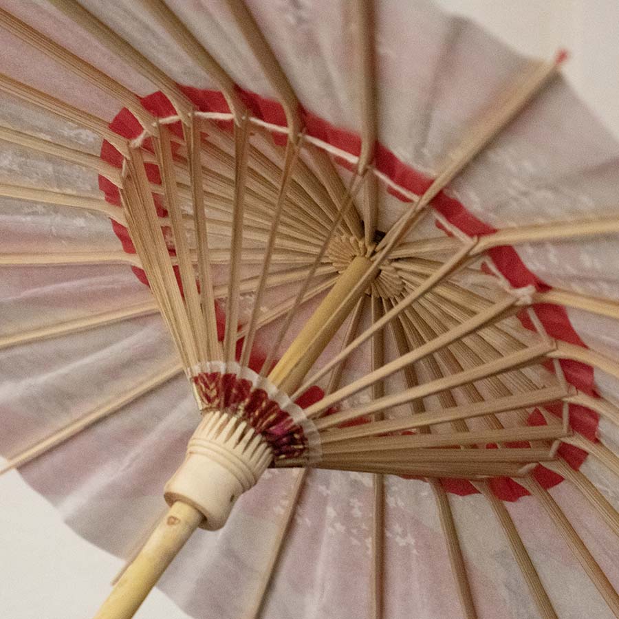 Water Surface/ Mini Wagasa