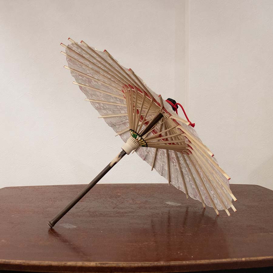 姫和傘 大寸『雲どり流水に白梅 緑』