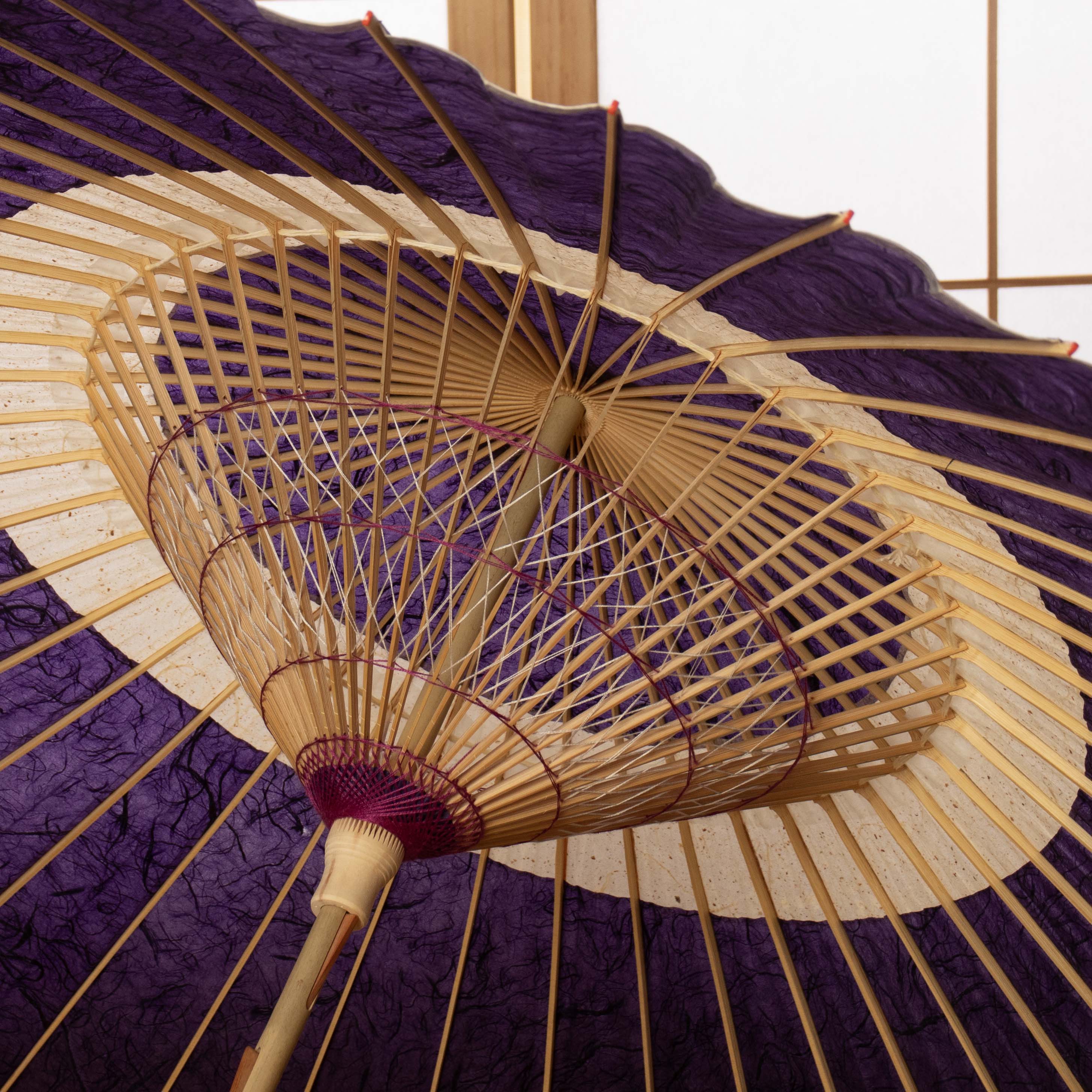 辻倉『極み』蛇の目柄/黒谷 / 紫霞