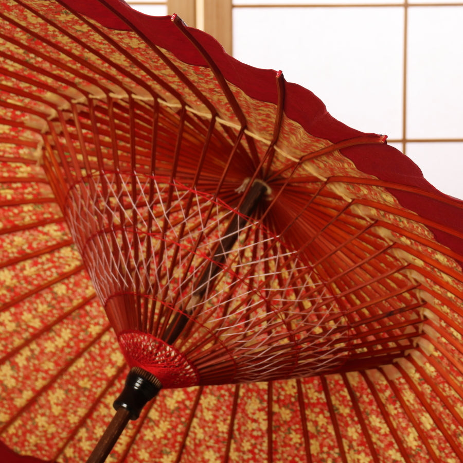 特選月奴 『桜日和に紅月』