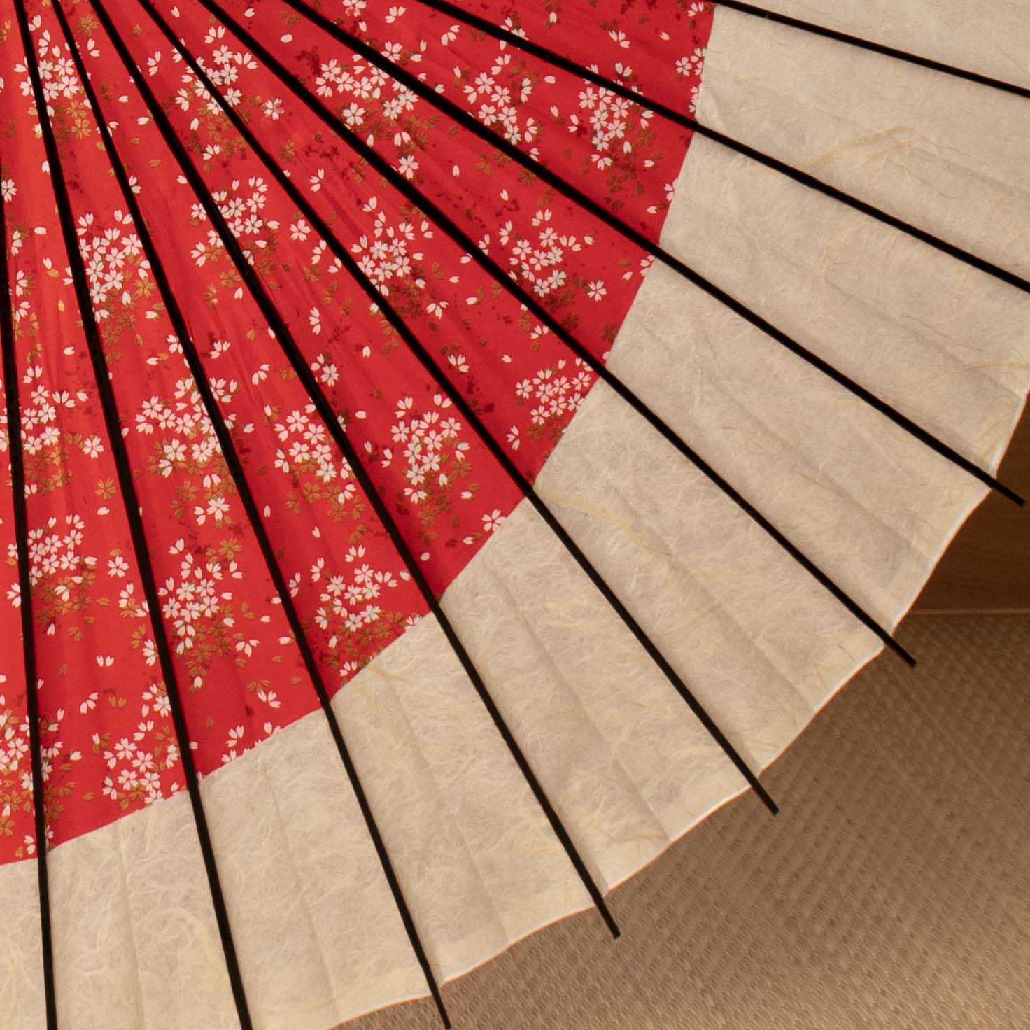 黒竹和日傘 特選月奴『紅桜』