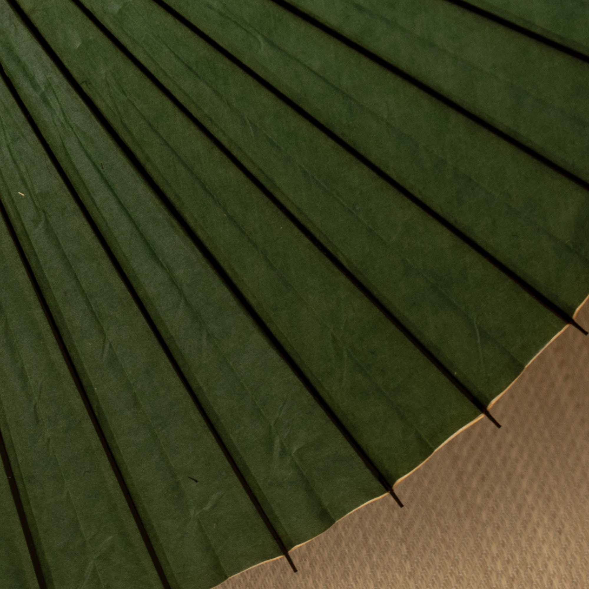 Midori(Green) / Kiwami Parasol