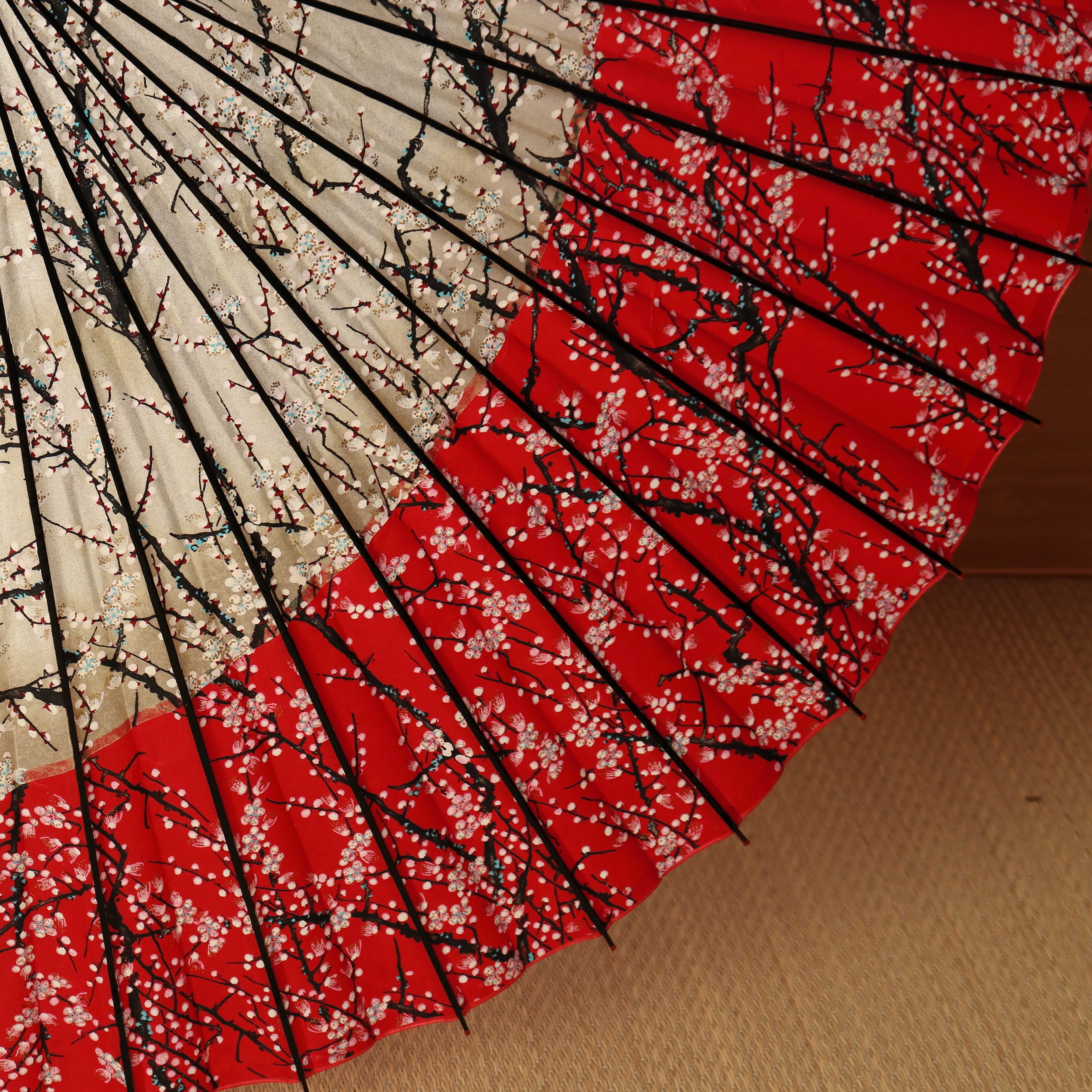 特選月奴『銀彩 梅流水 凛の華』