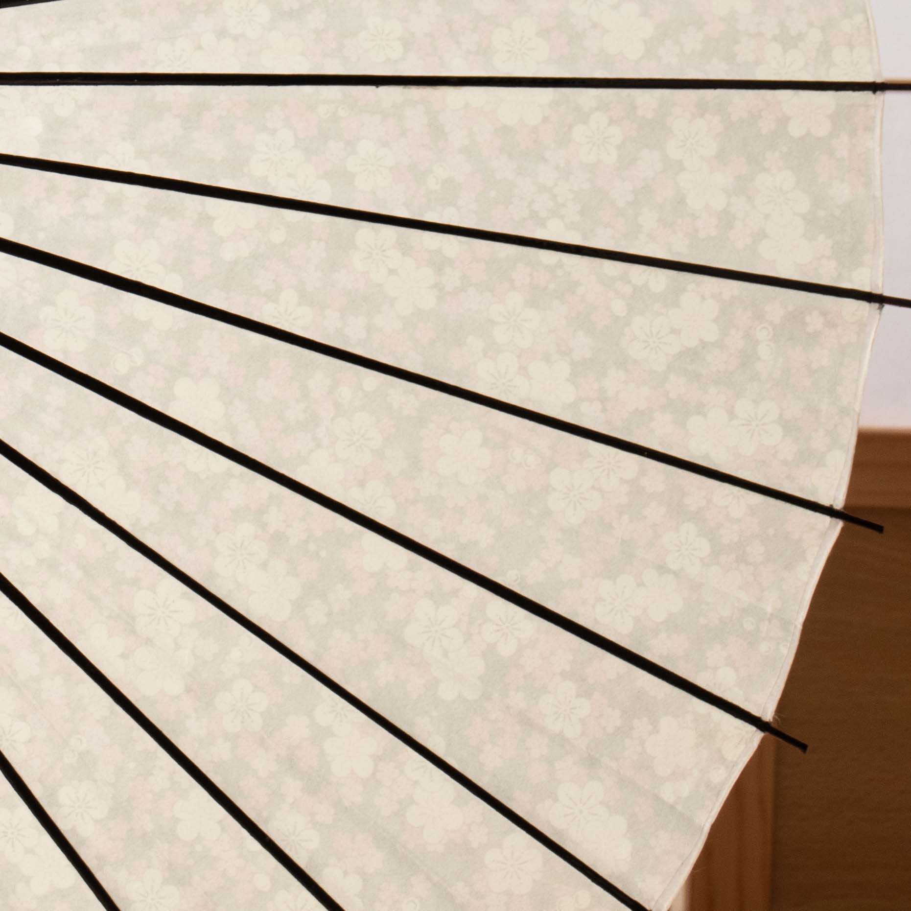 Flower opening / Plum blossom at night / Japanese parasol