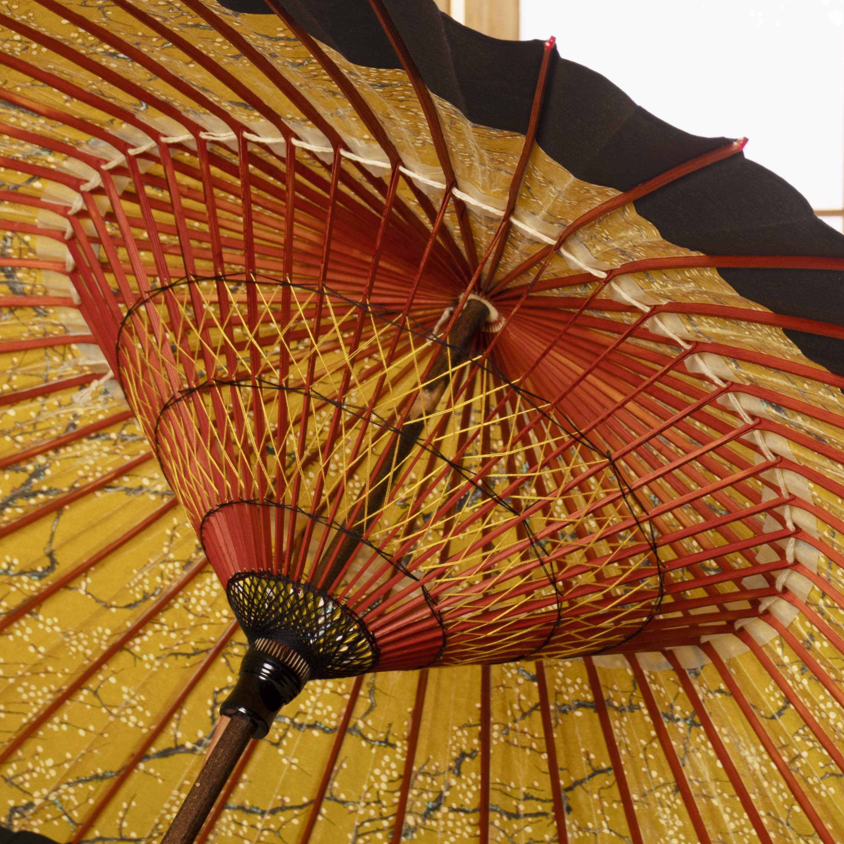 特選月奴 『金彩 梅流水 漆黒』