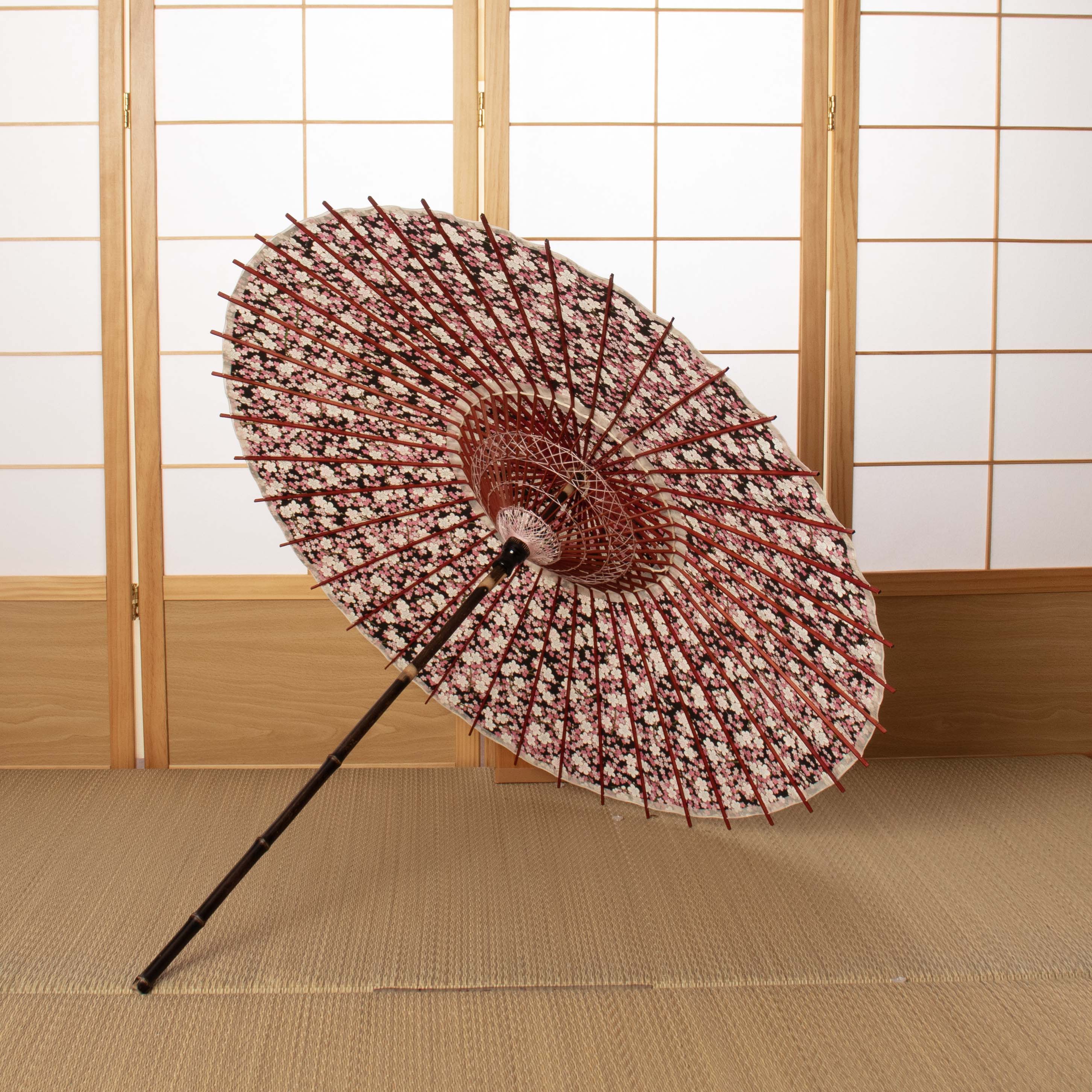 和日傘 『花ひらく』 夜の梅