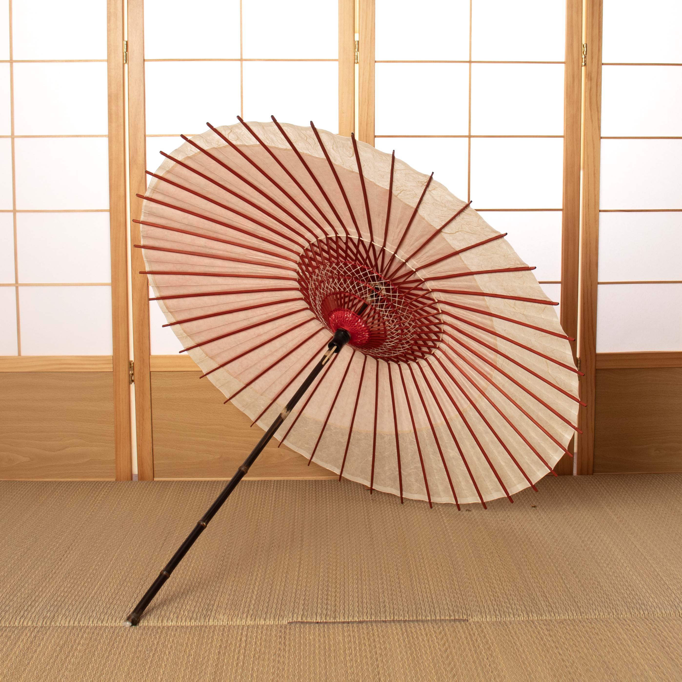 黒竹和日傘 特選月奴『紅桜』