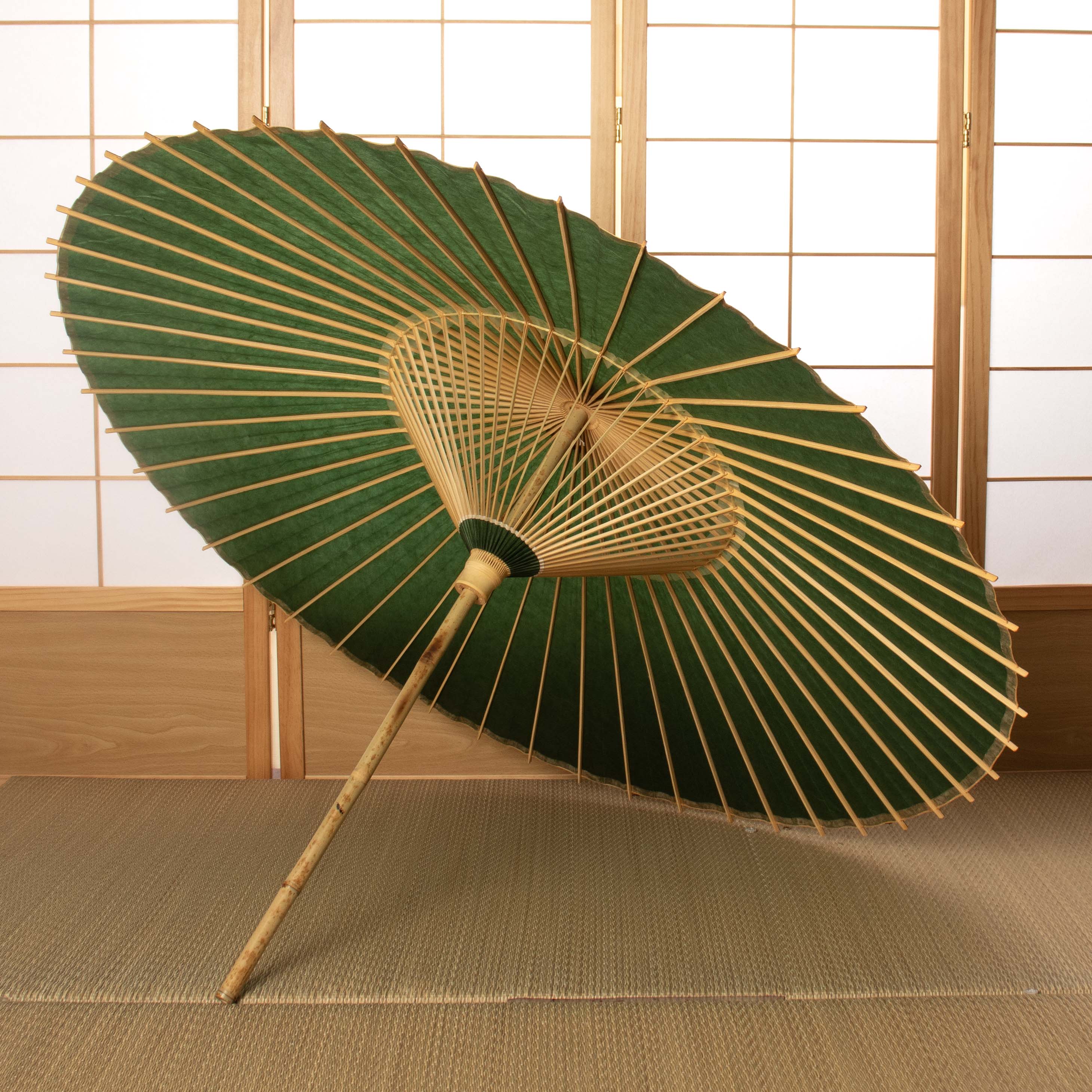 Midori(Green) / Kiwami Parasol