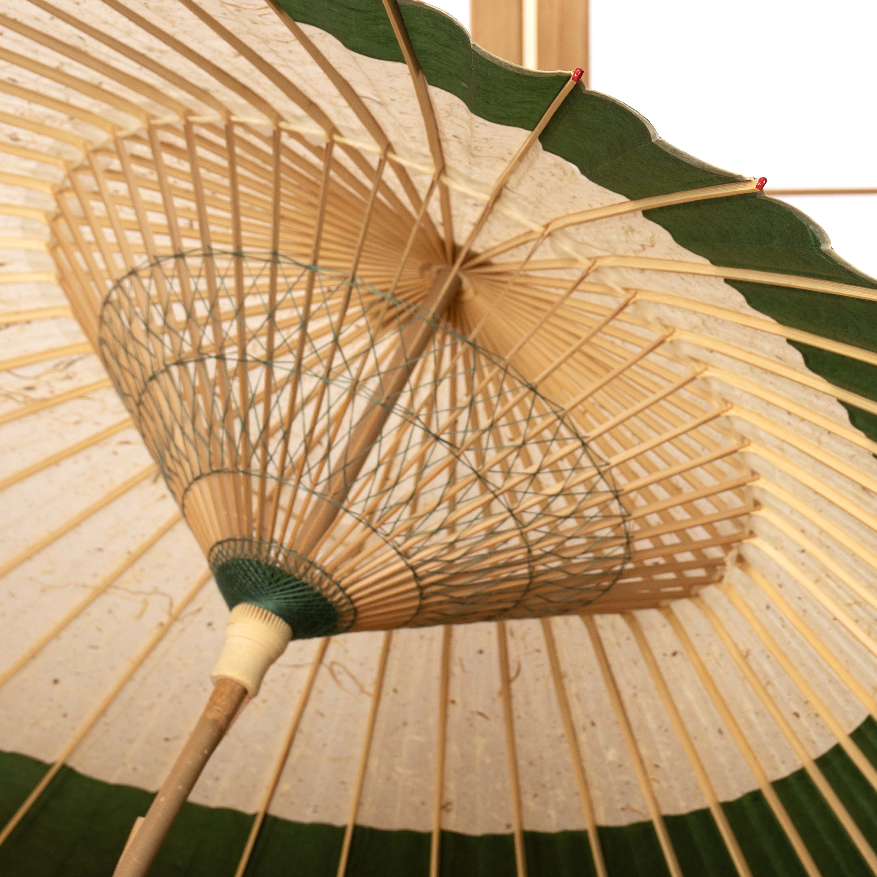 辻倉『極み』 特選月奴 吹雪に翠