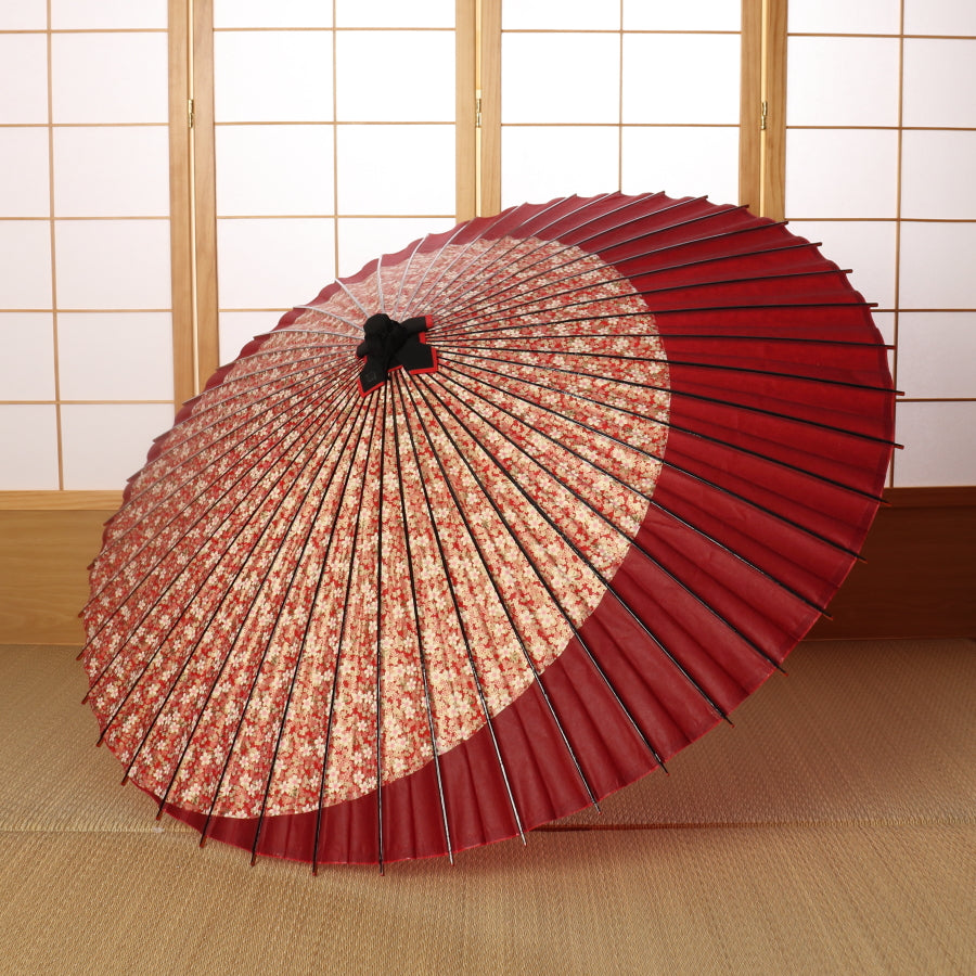 特選月奴 『桜日和に紅月』