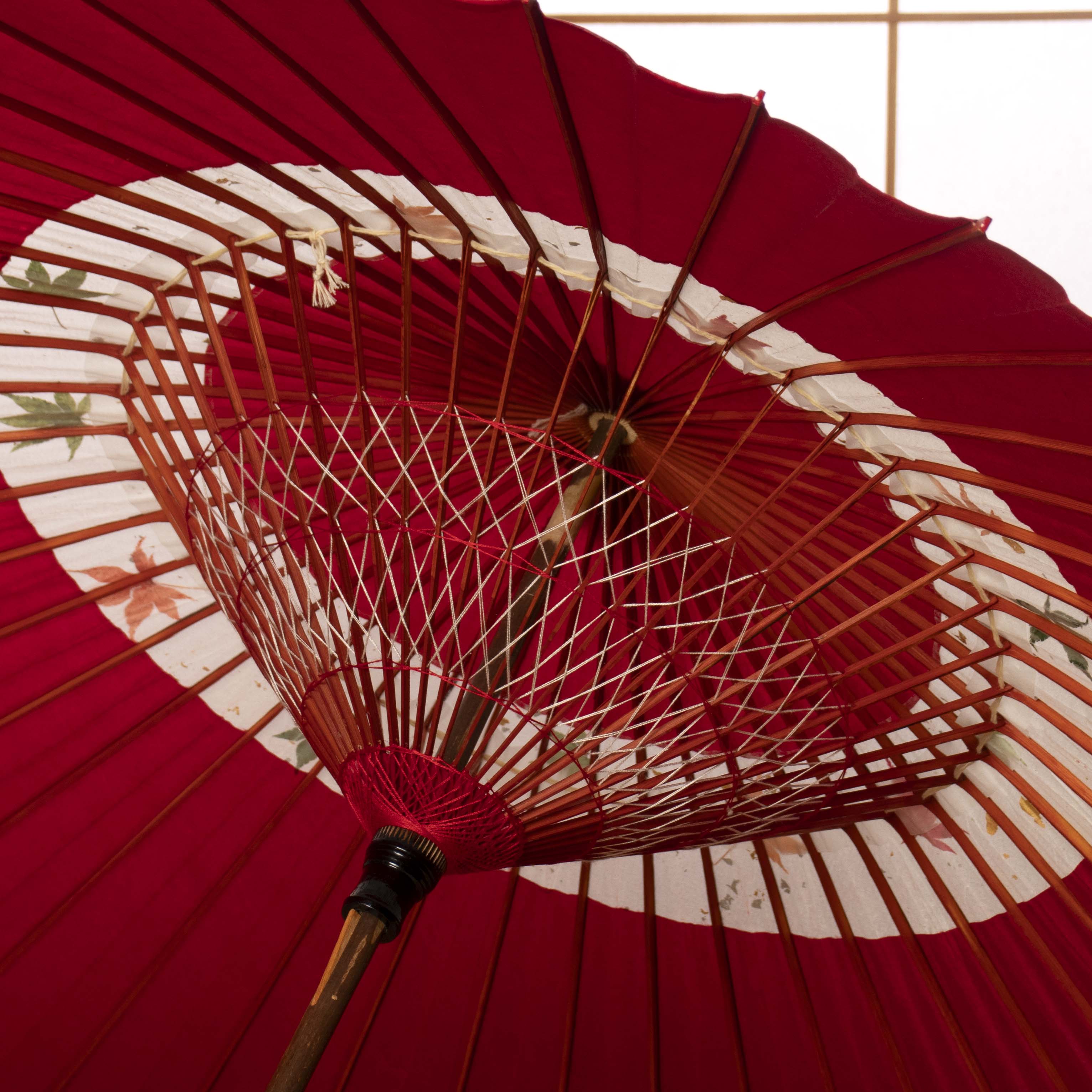 特選蛇の目柄 『深紅に紅葉』