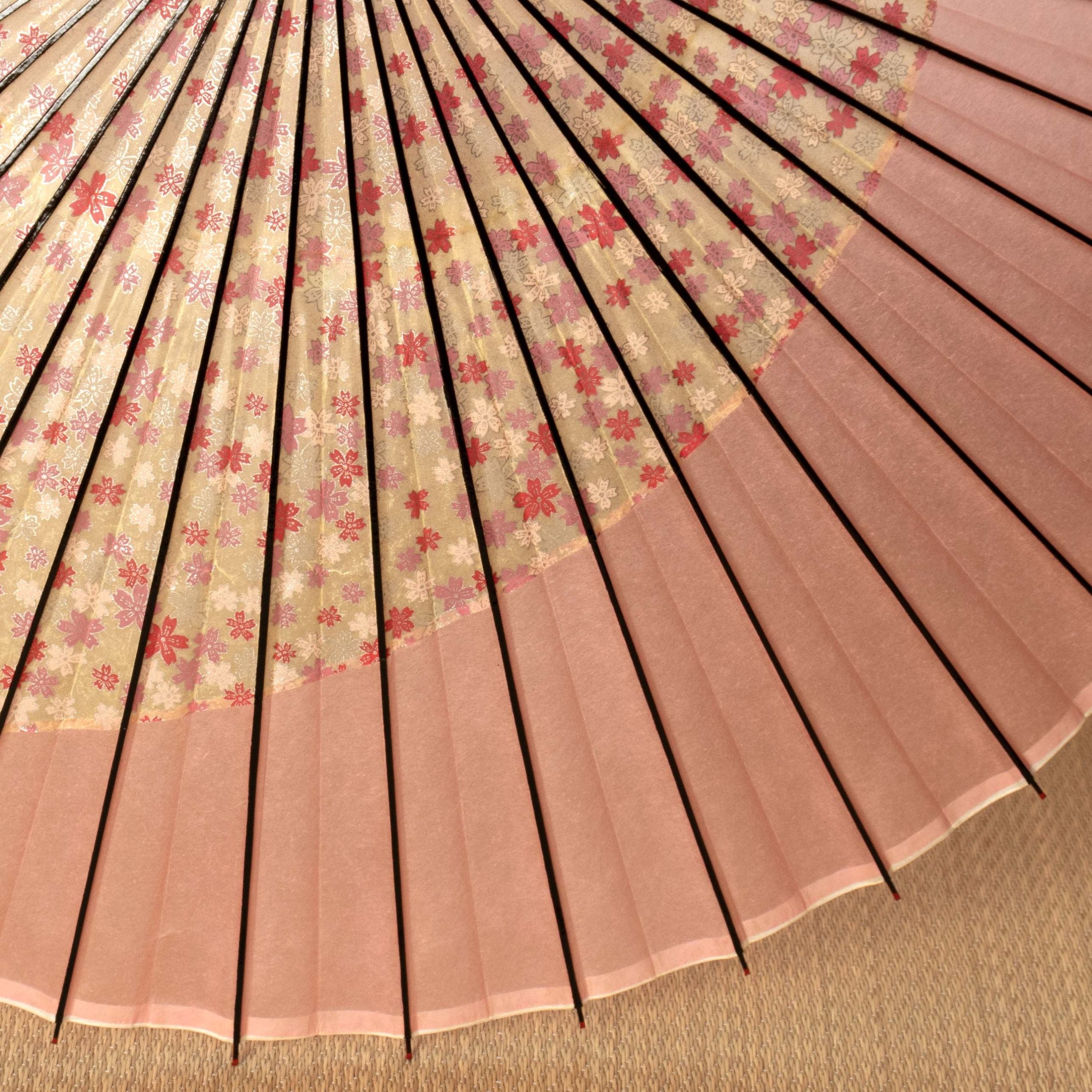 特選月奴 『乙女桜に桃乃月』