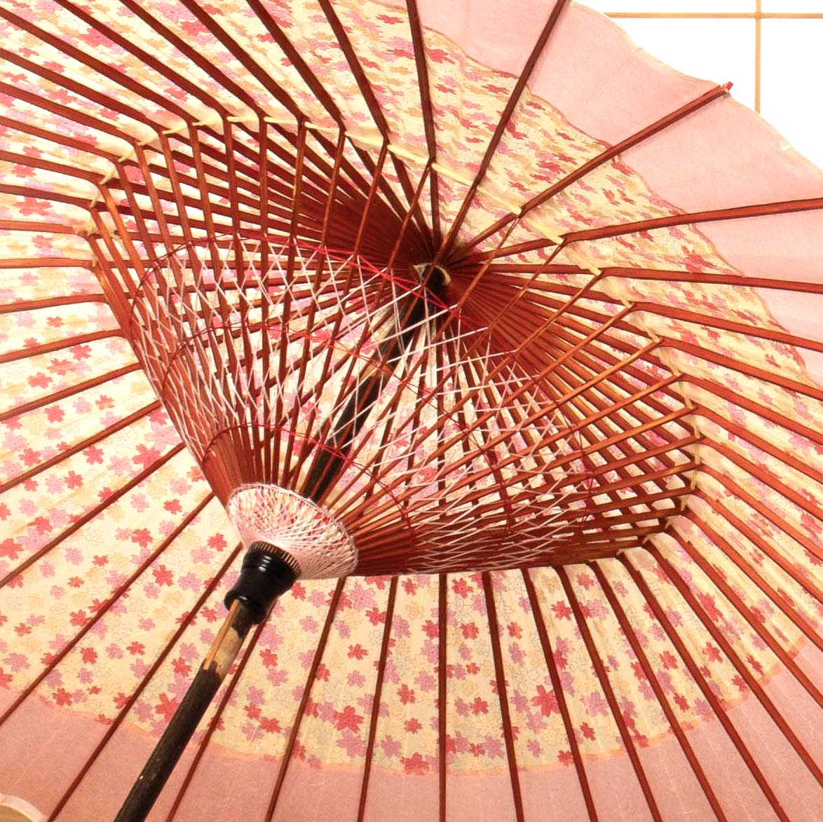 特選月奴 『乙女桜に桃乃月』