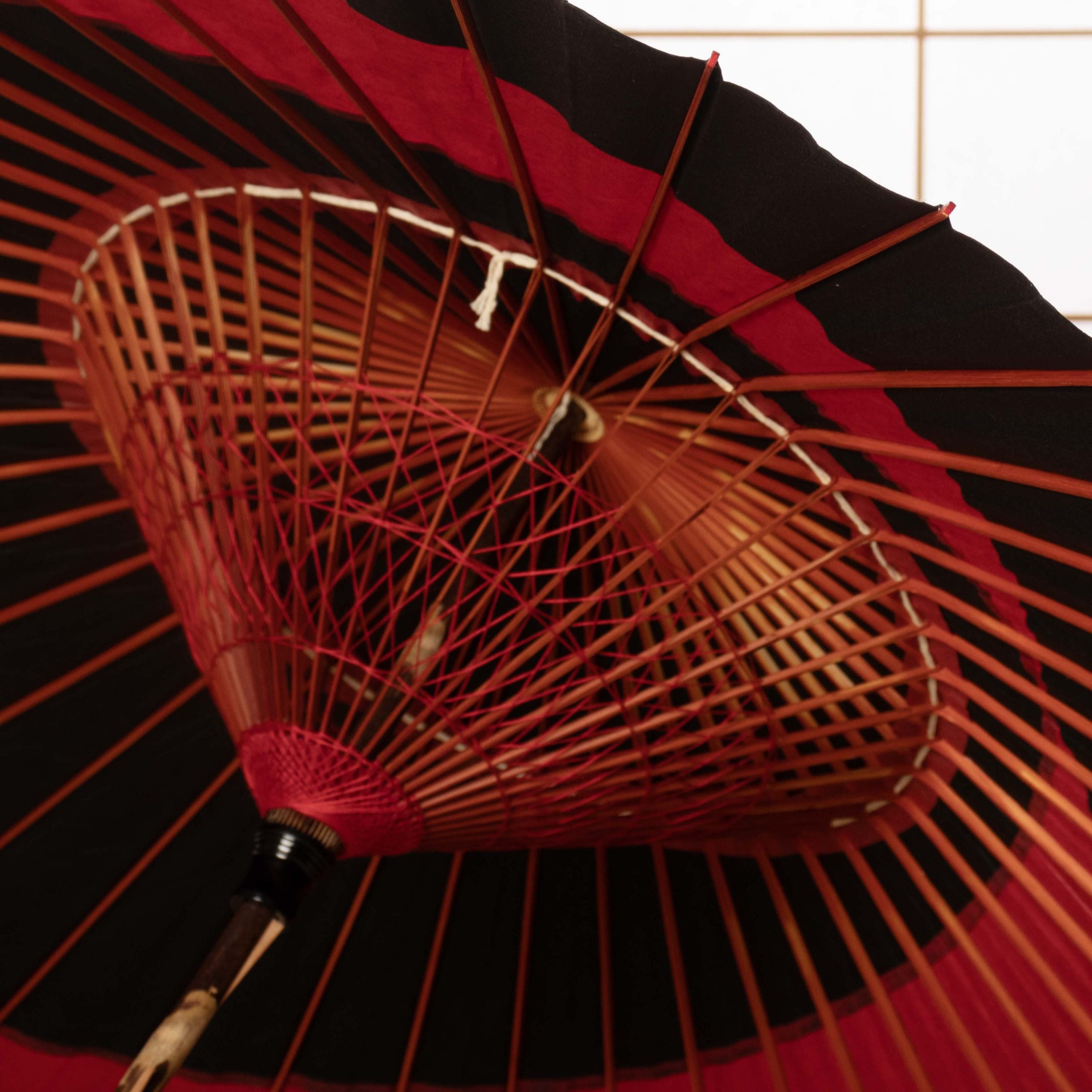 和かさね『漆黒に紅』