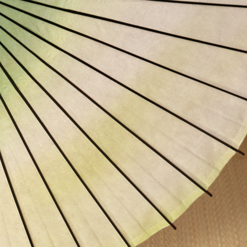 黒竹和日傘 『虹色染め』若草