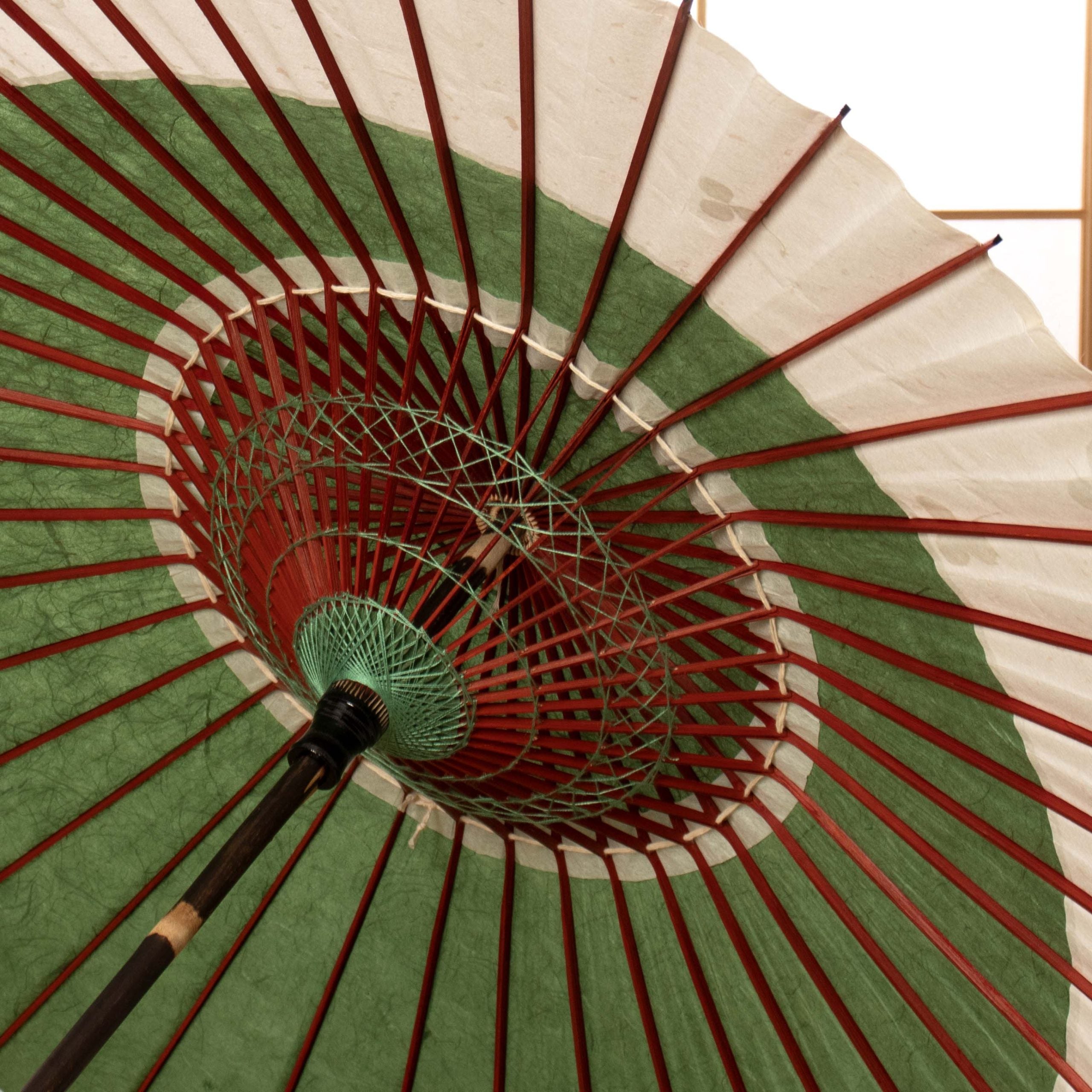 黒竹和日傘 特選月奴『新緑にクローバー』