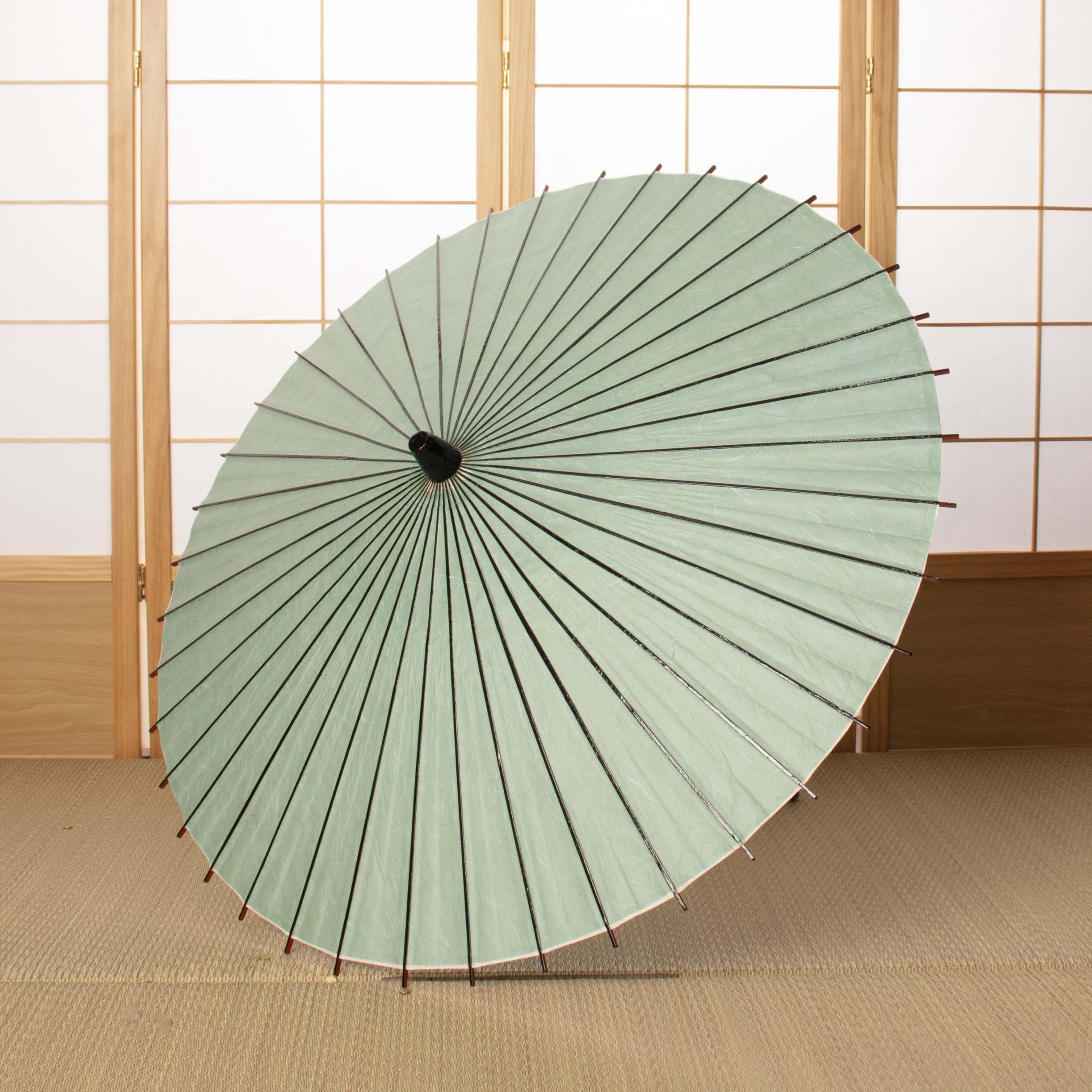 黒竹和日傘『縁』雲竜紙 若みどり