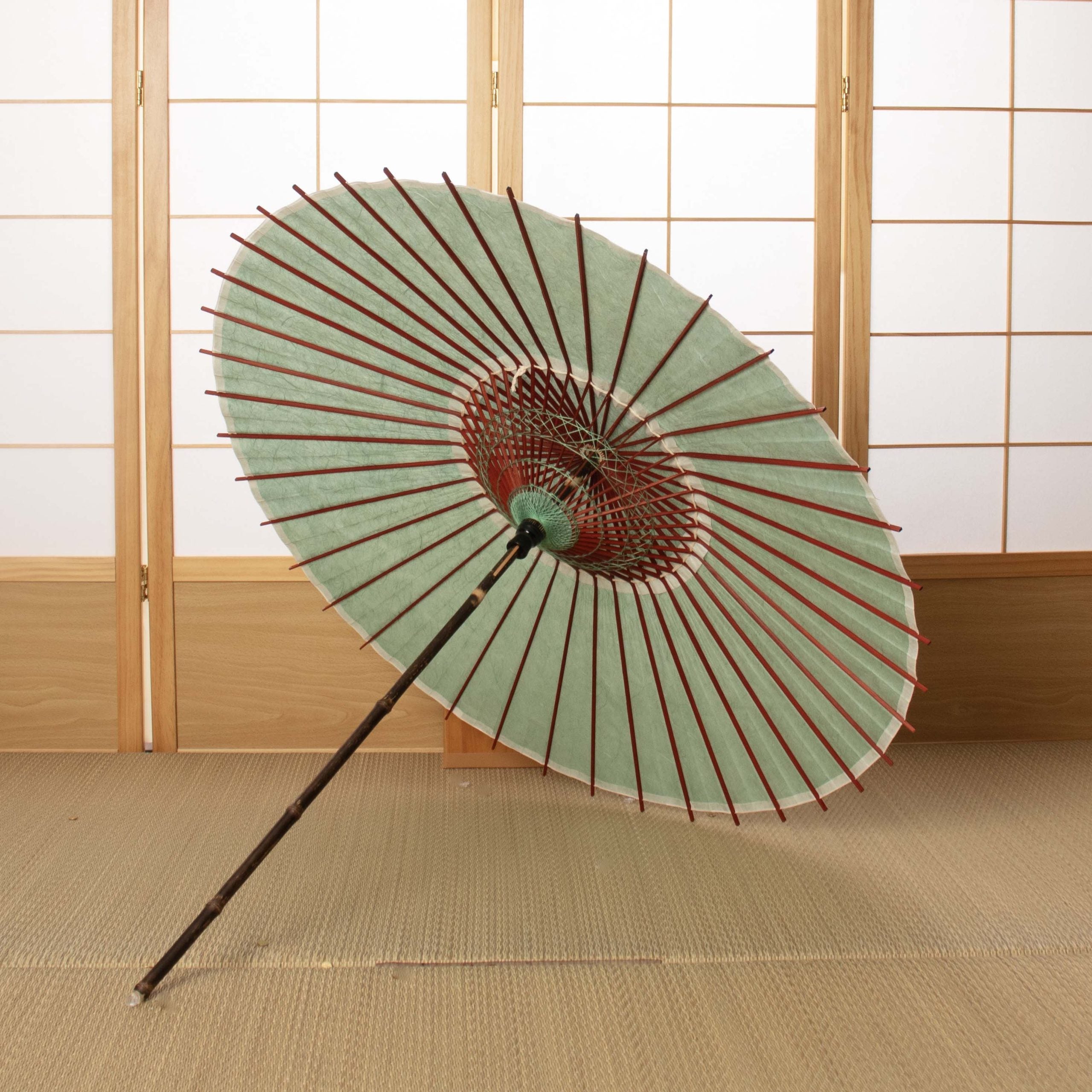 黒竹和日傘『縁』雲竜紙 若みどり