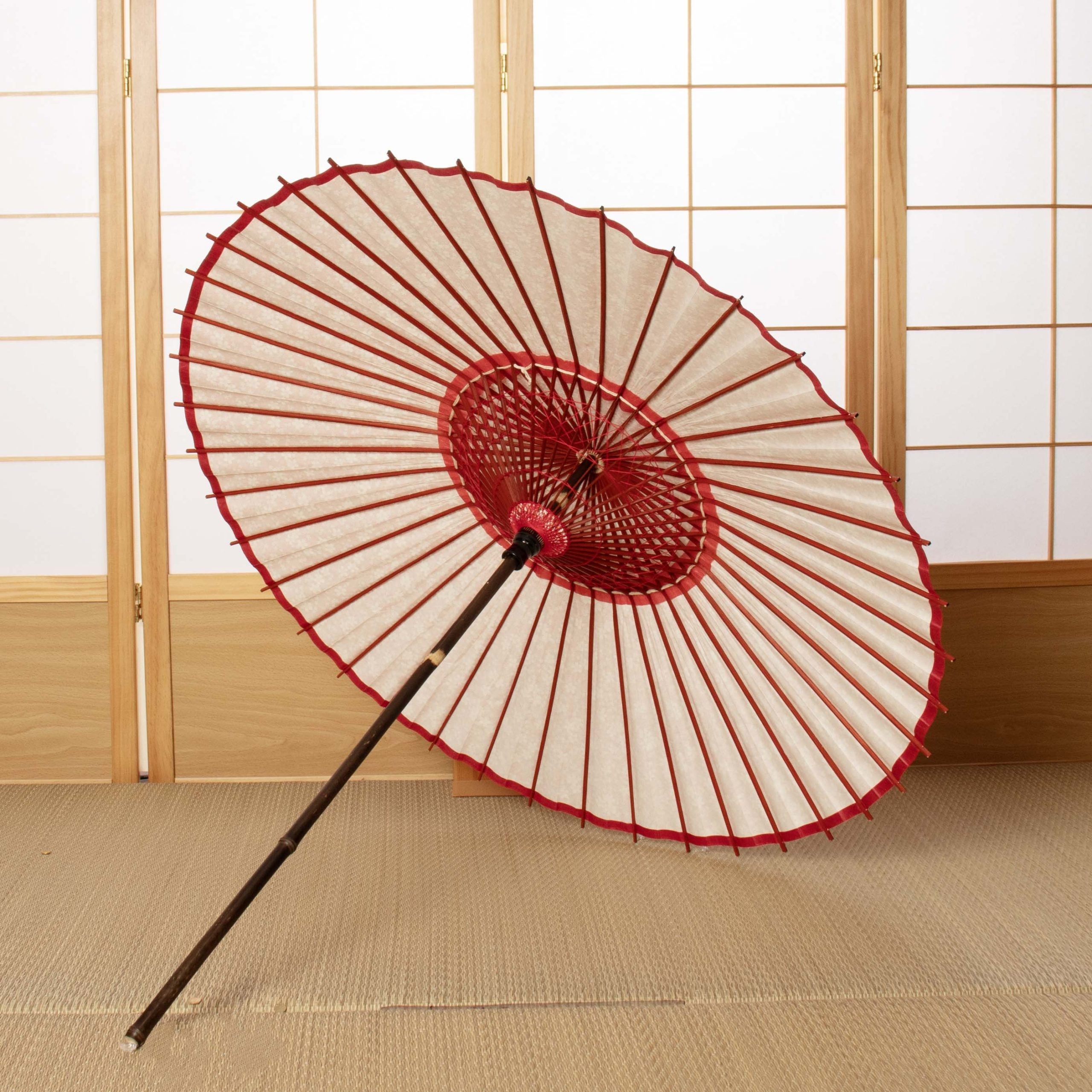 黒竹和日傘 京友禅『桜日和/赤』
