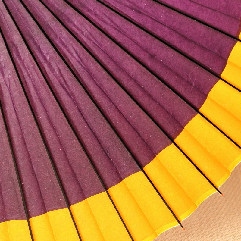 軒色変わり -花紫に黄金-