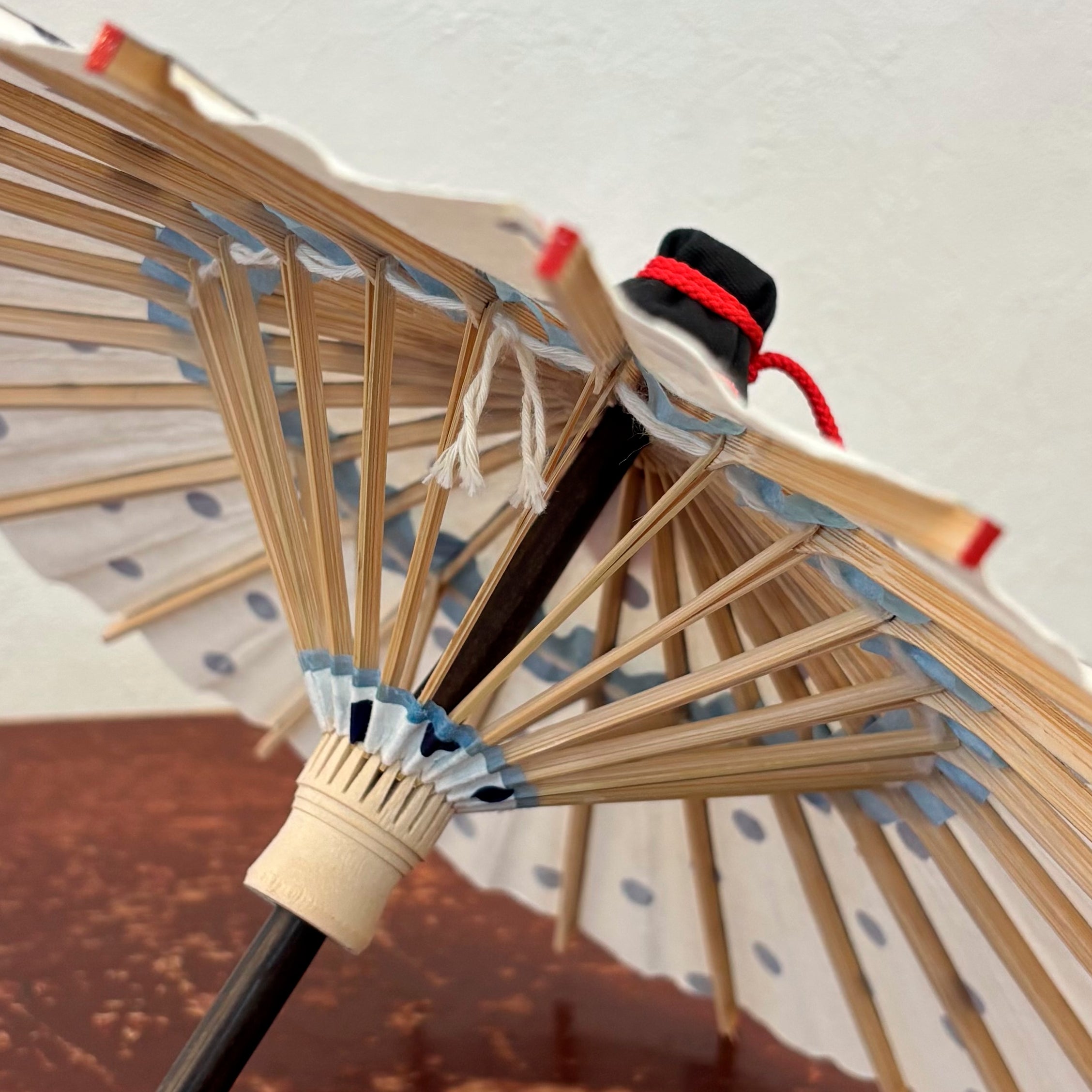 姫和傘 『水玉』