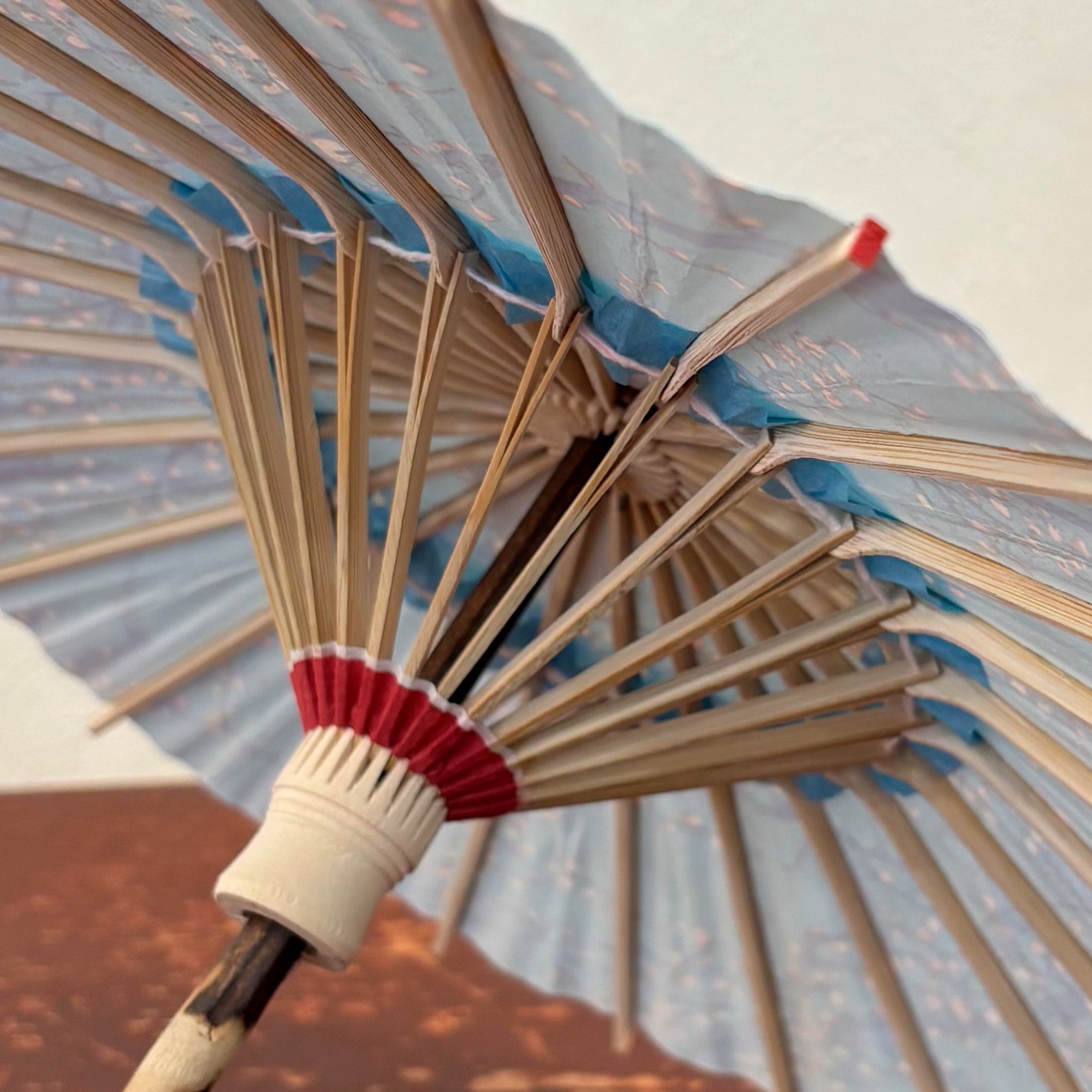 姫和傘 『枝に小梅』水色