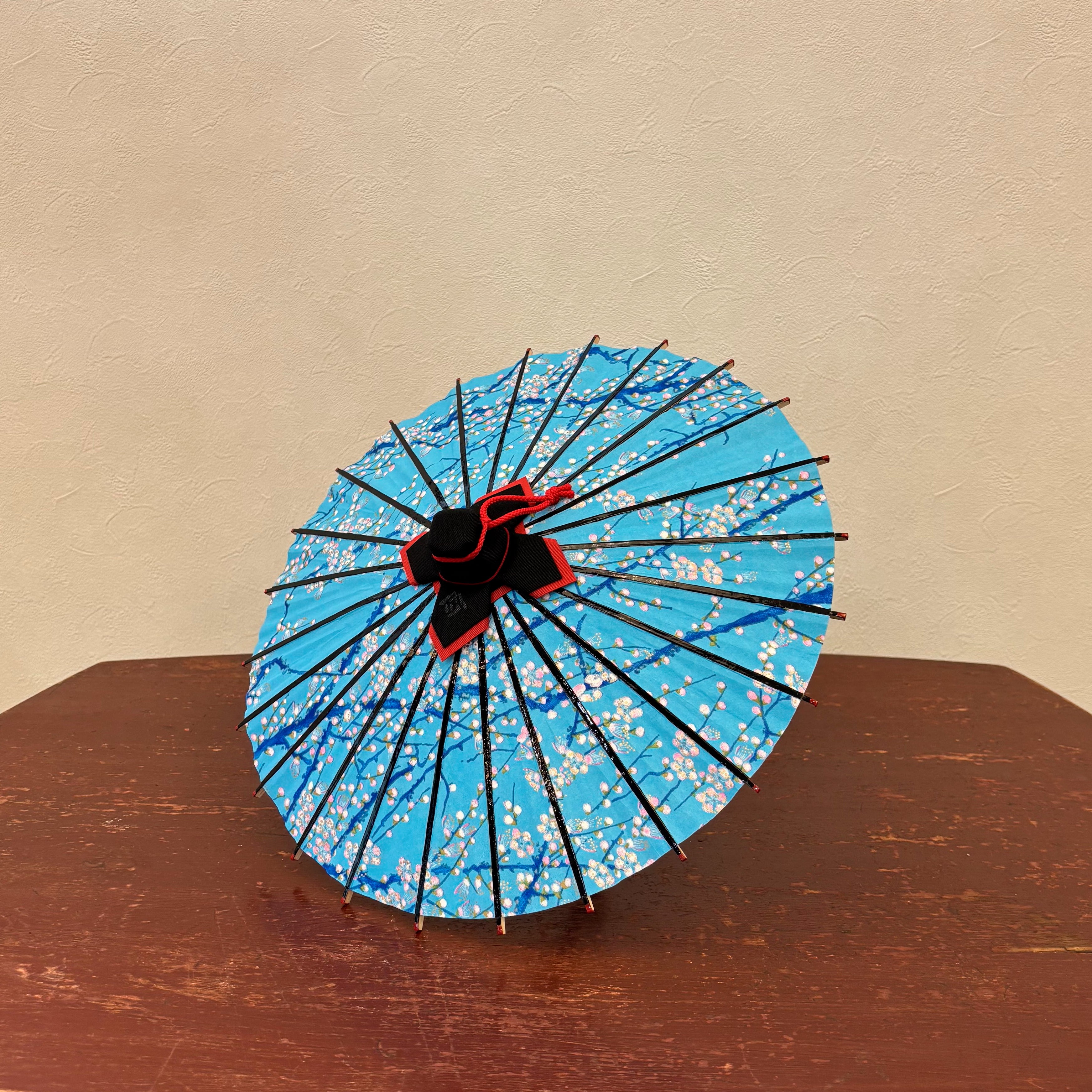 姫和傘 『枝に小梅』水色