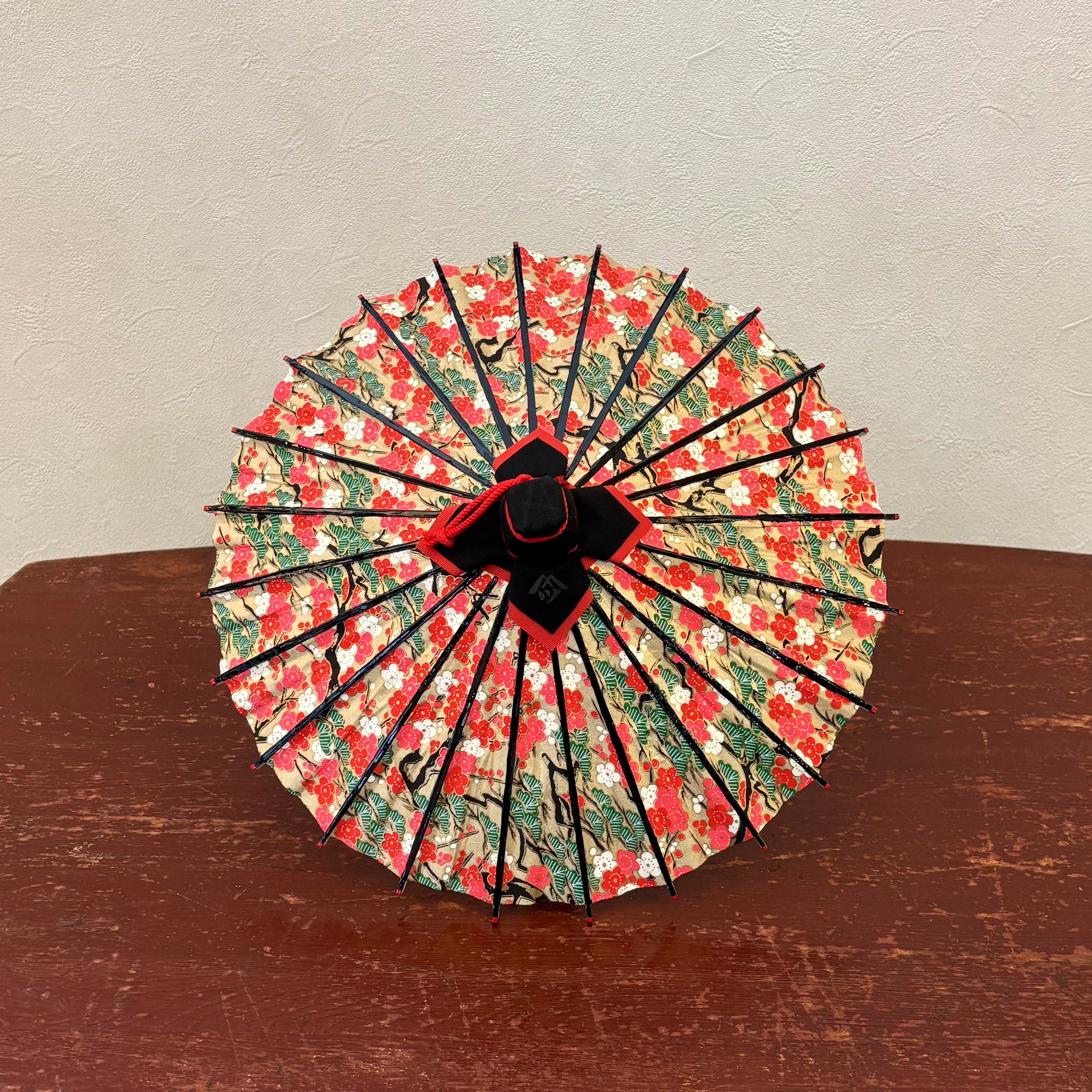 姫和傘 『梅林に松』