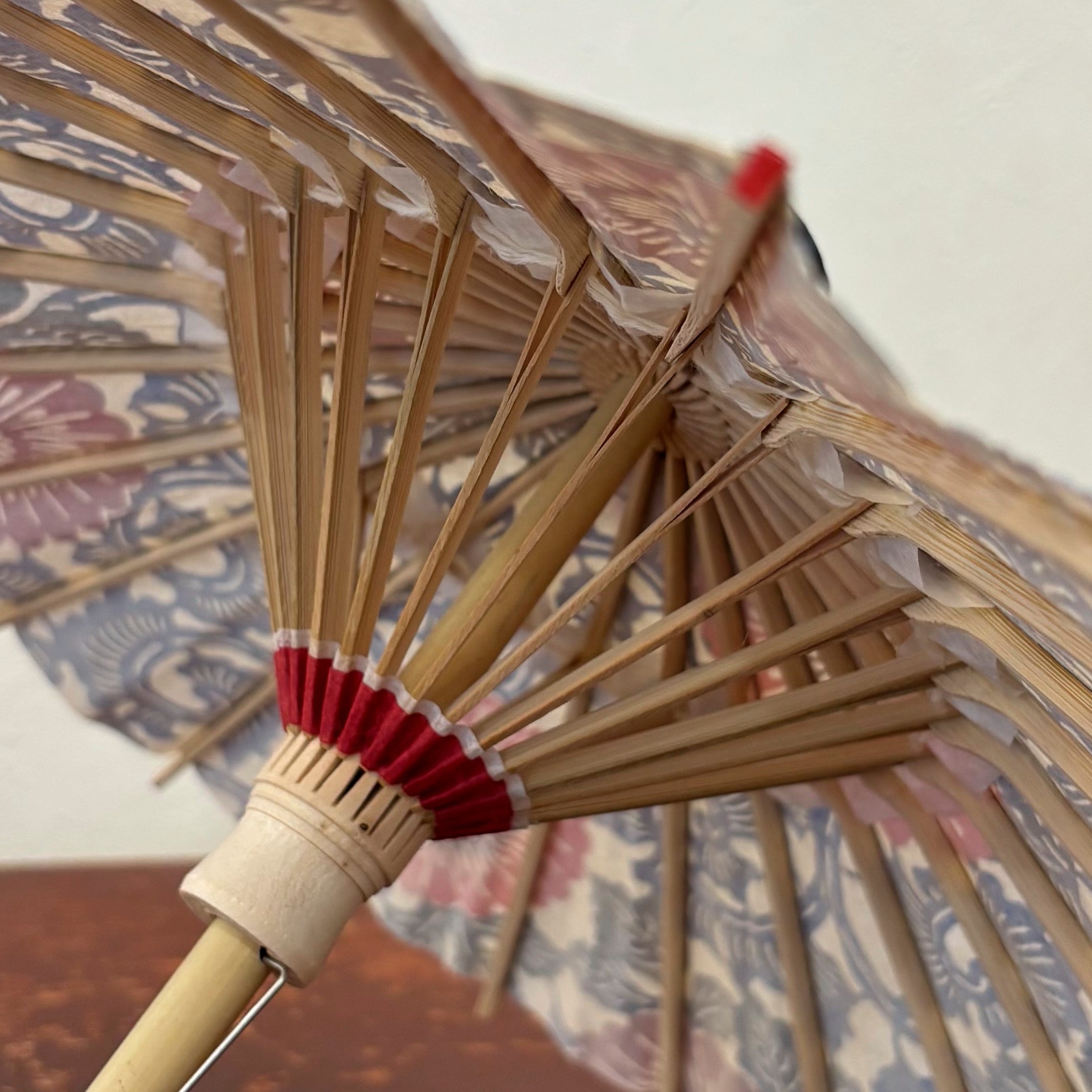 姫和傘 『菊に青唐草』