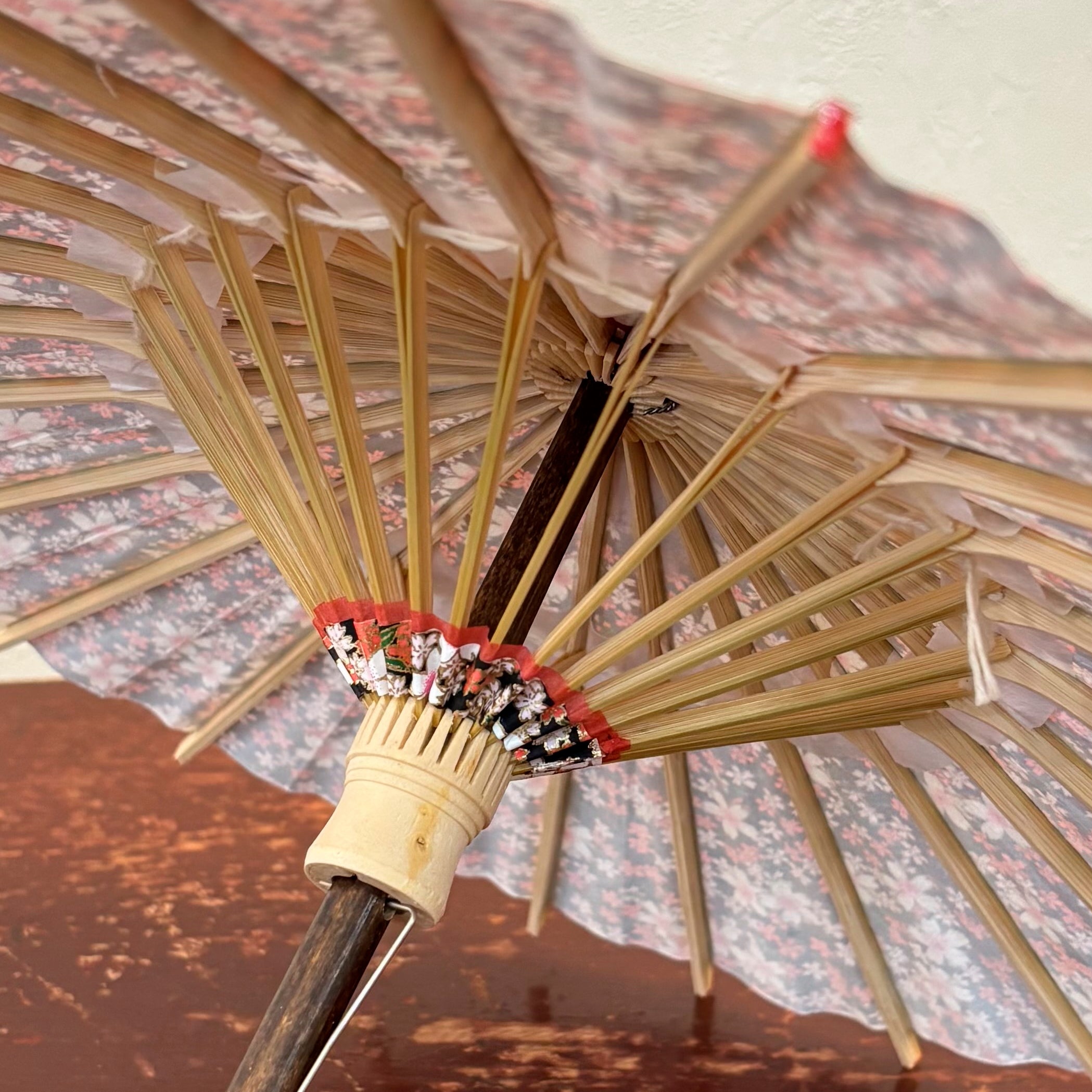 姫和傘 『桜日和』黒