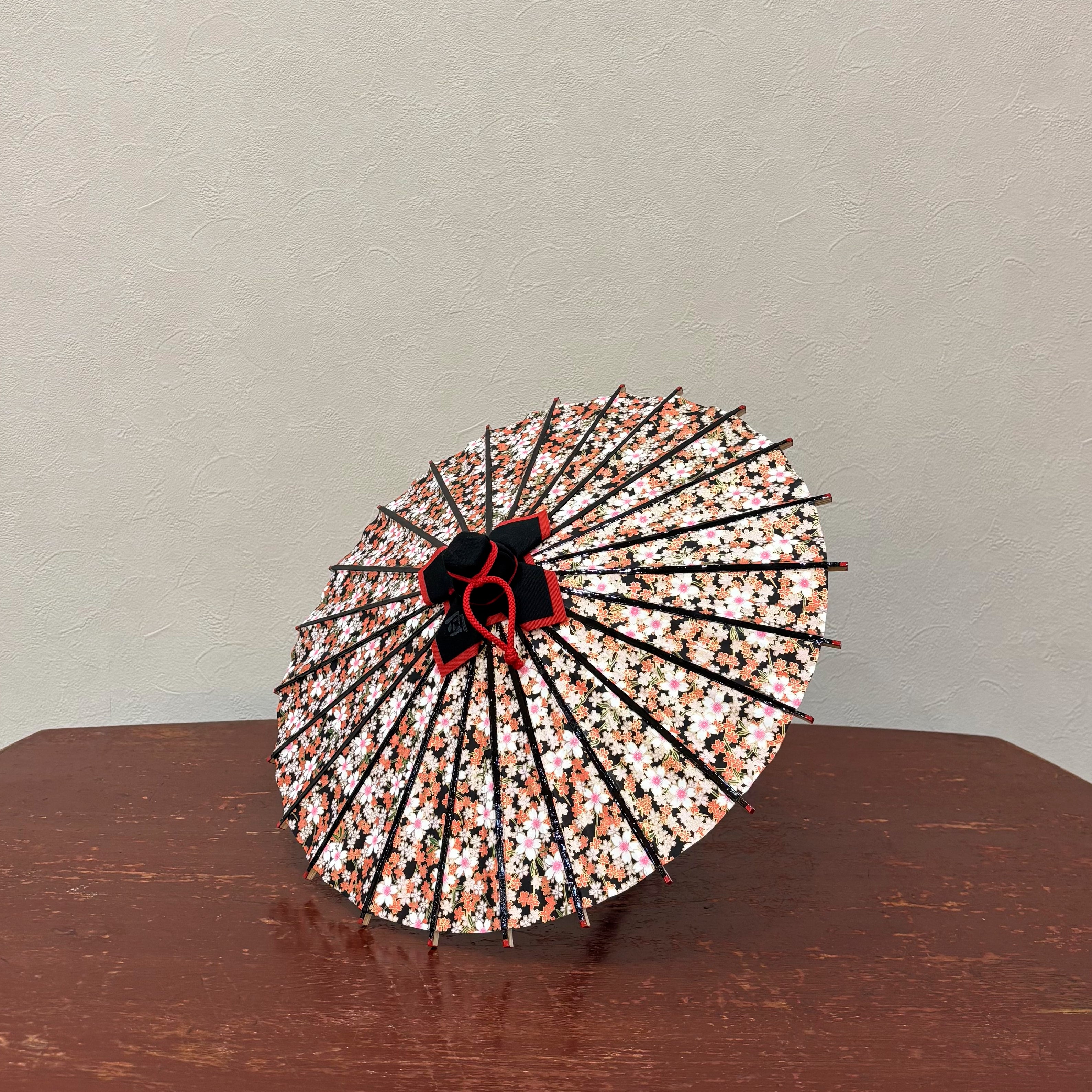 姫和傘 『桜日和』黒