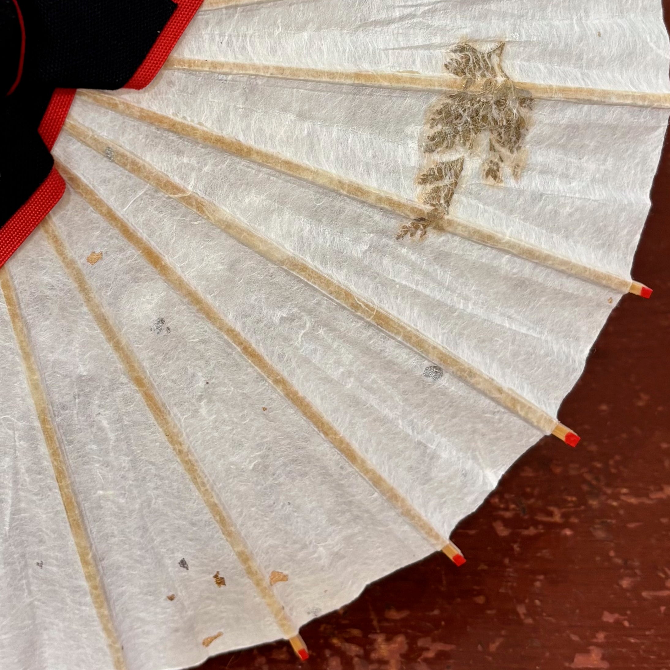 姫和傘 『葉入り/シダ』クリア漆