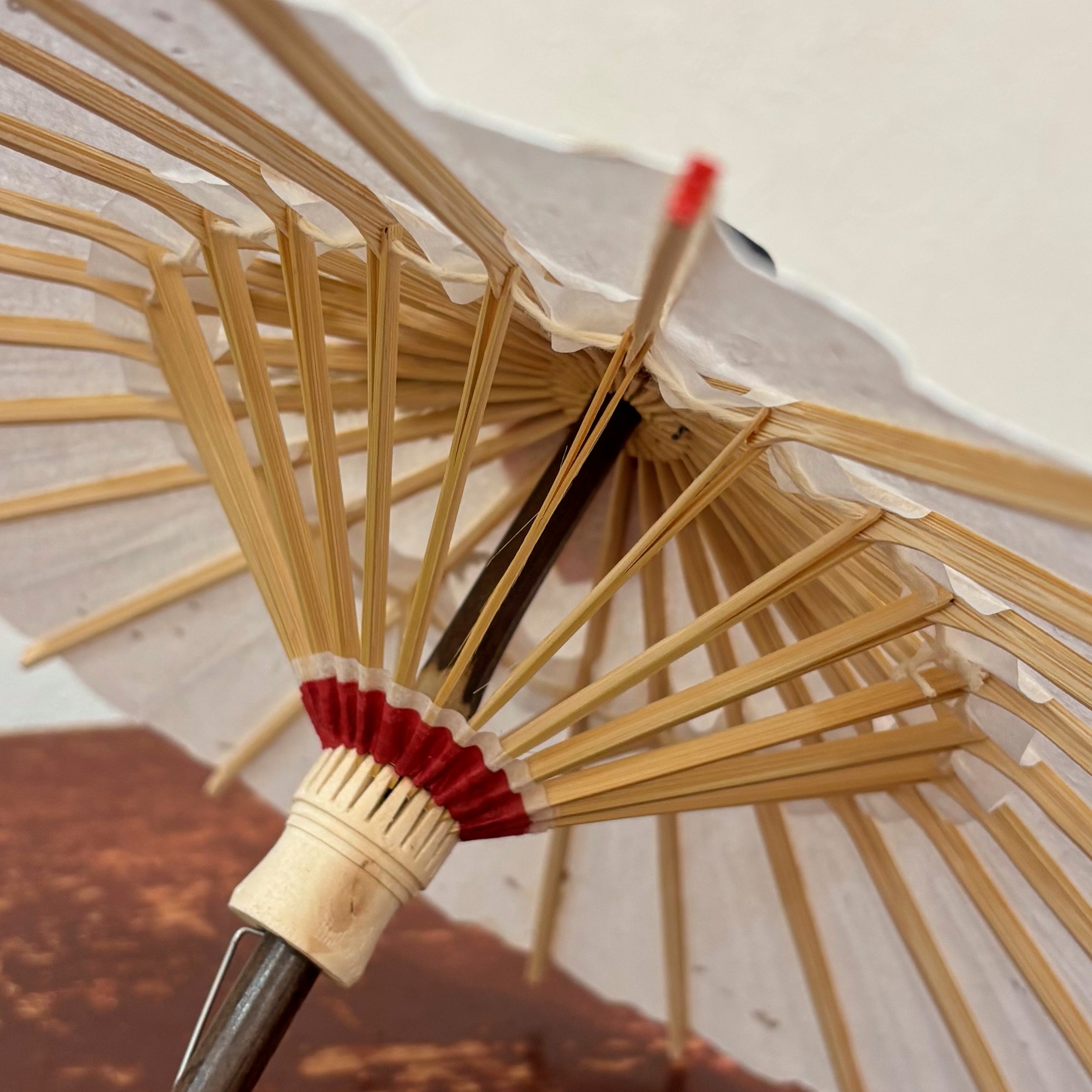 姫和傘 『葉入り/シダ』クリア漆