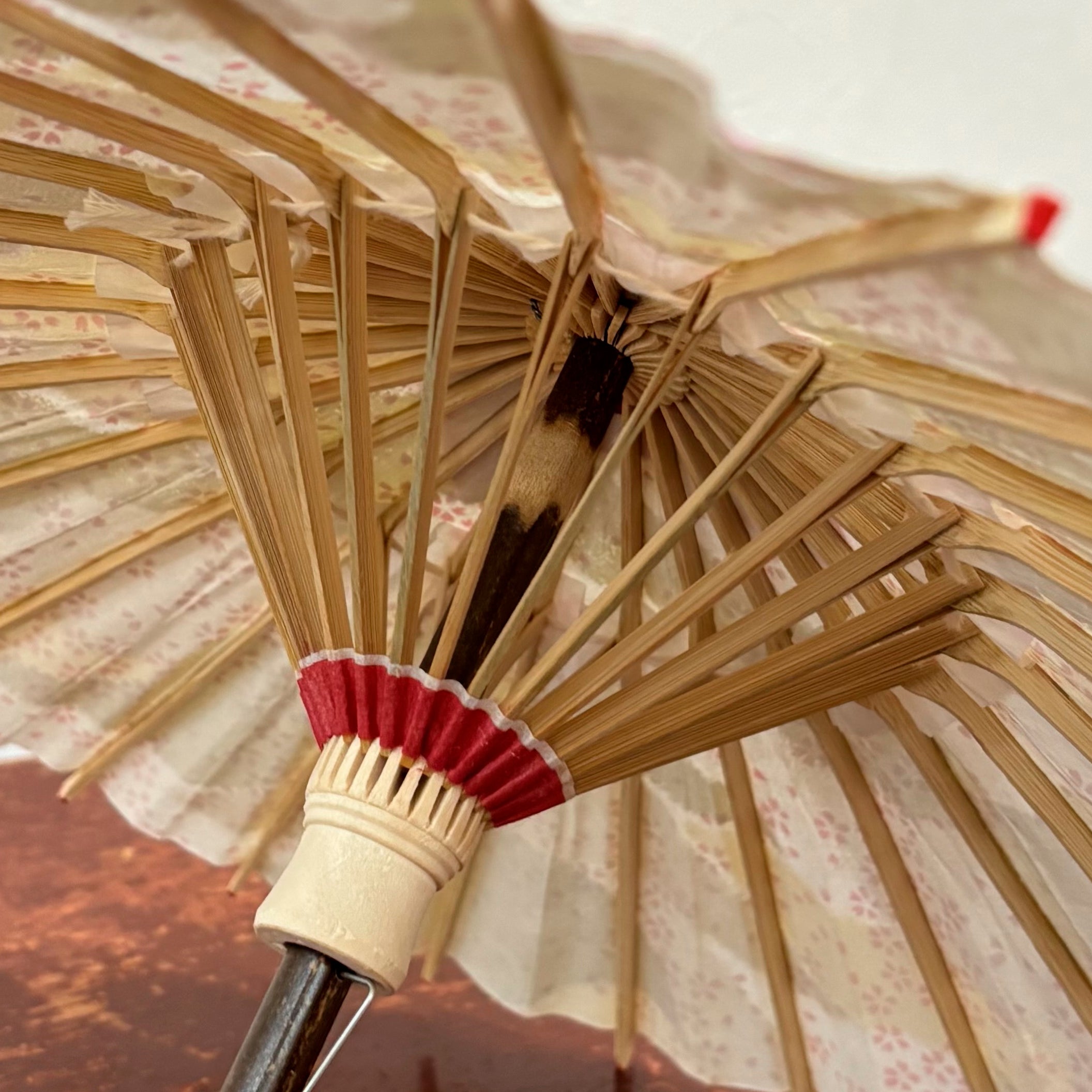 姫和傘 『花かすみ』金