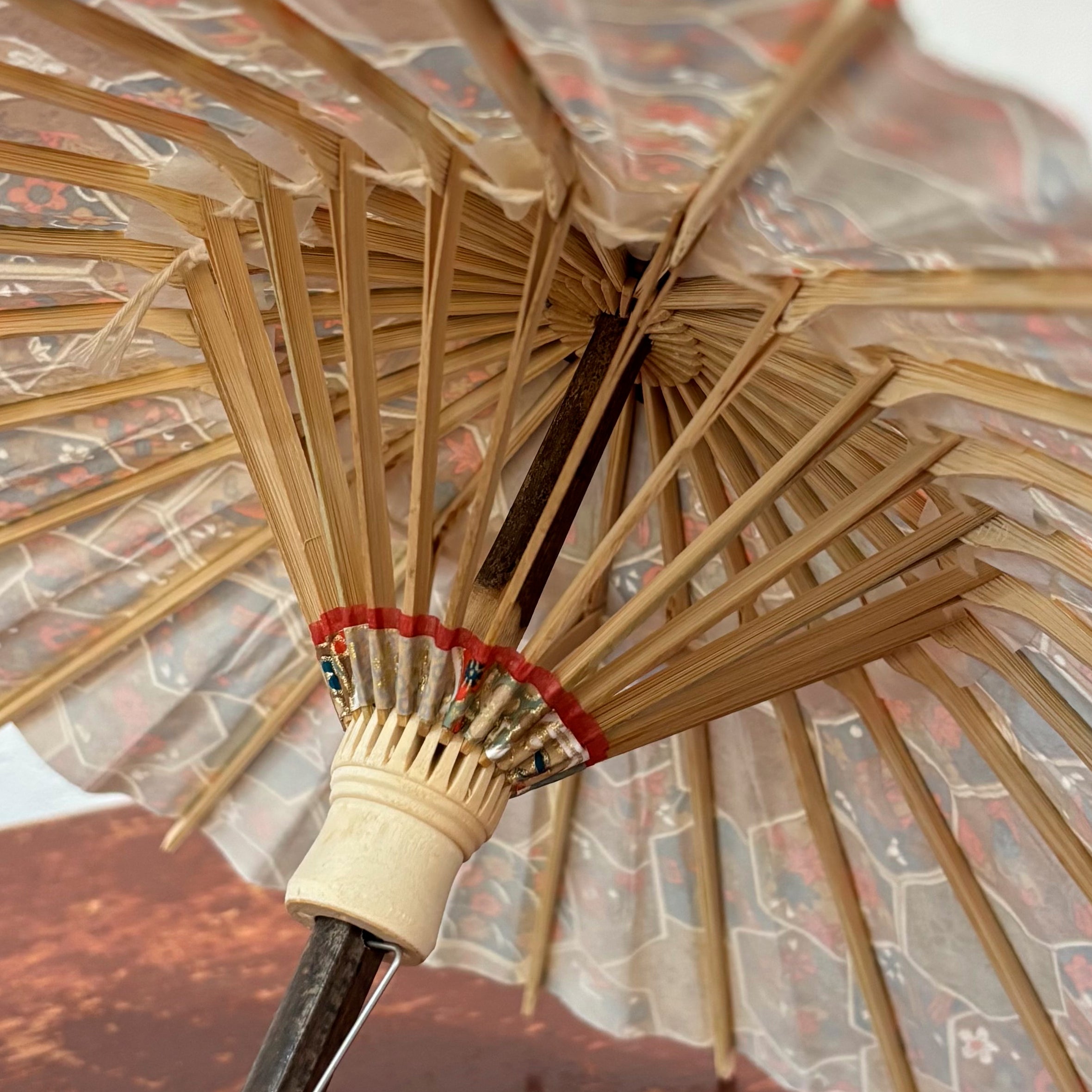 Double Cherry Blossoms/ Mini Wagasa