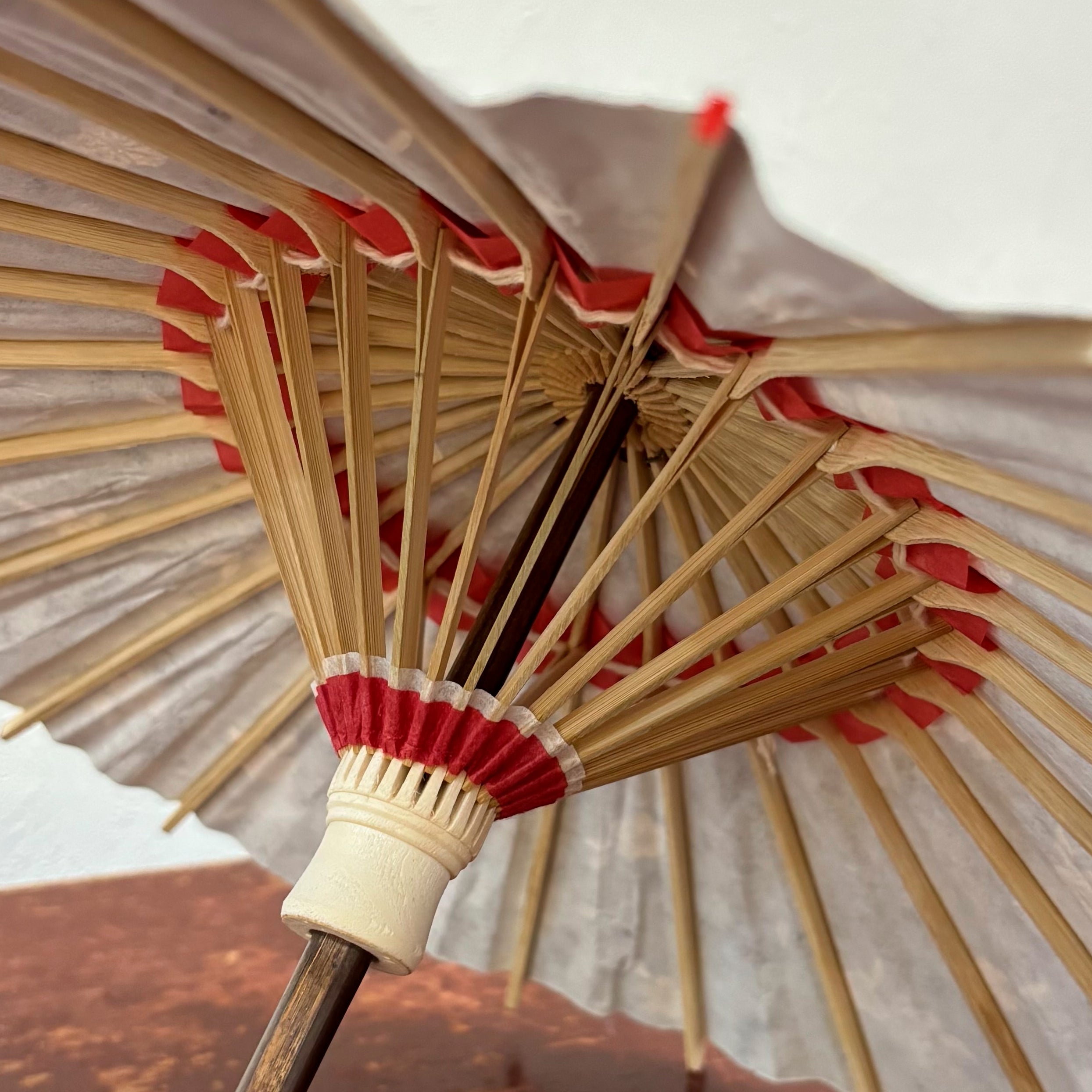 Cherry Blossoms with Unryu/ Mini Wagasa