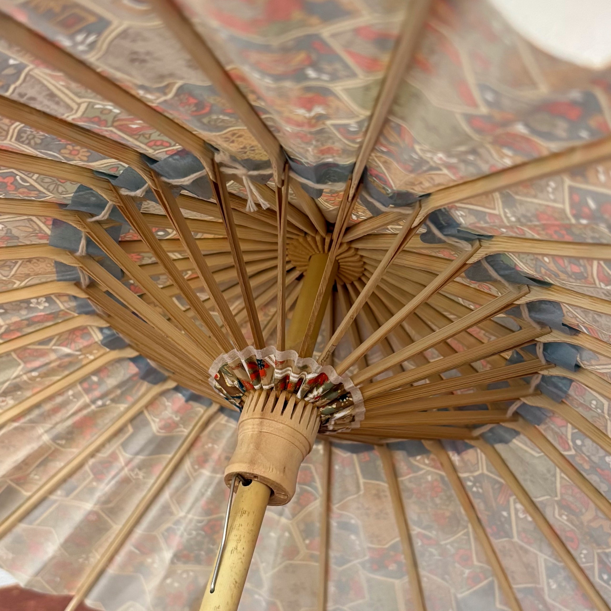 姫和傘 大寸『亀甲/若草』