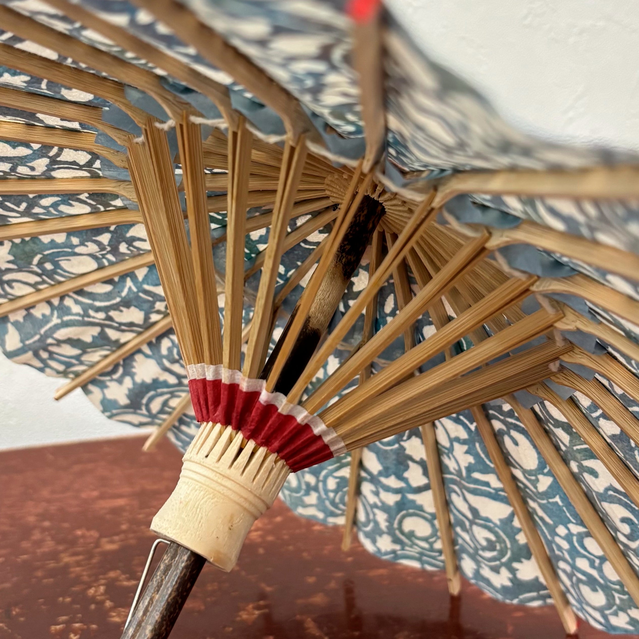 姫和傘 『ツタ唐草』