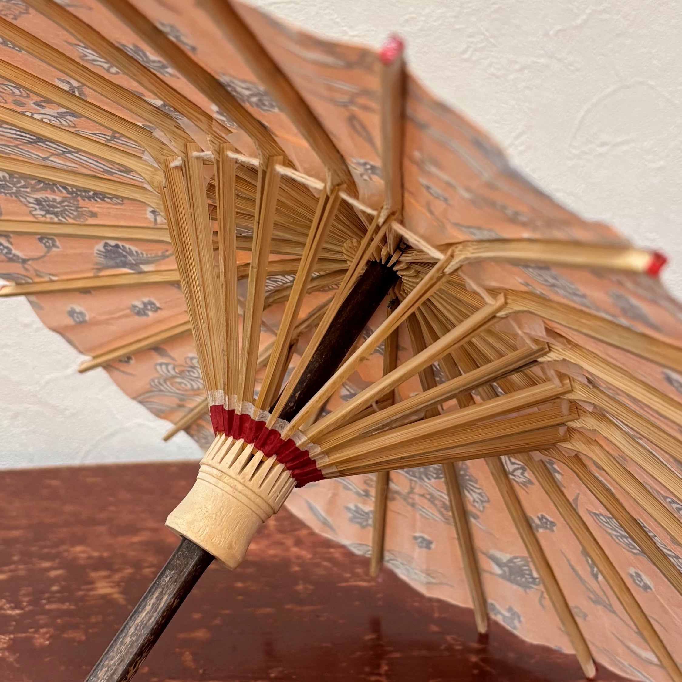 姫和傘 『花鳥風月』朱