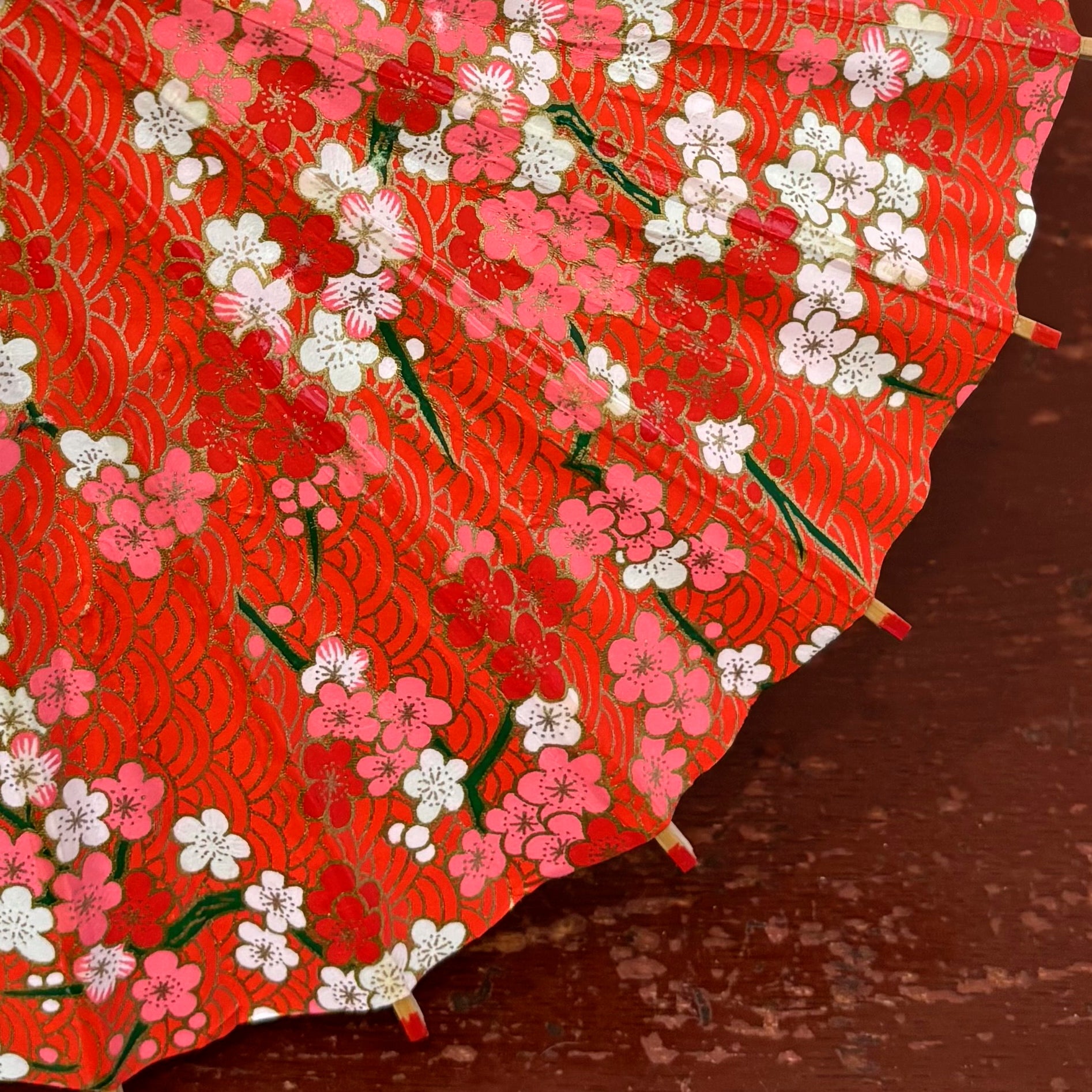 姫和傘 『梅に青海波』赤