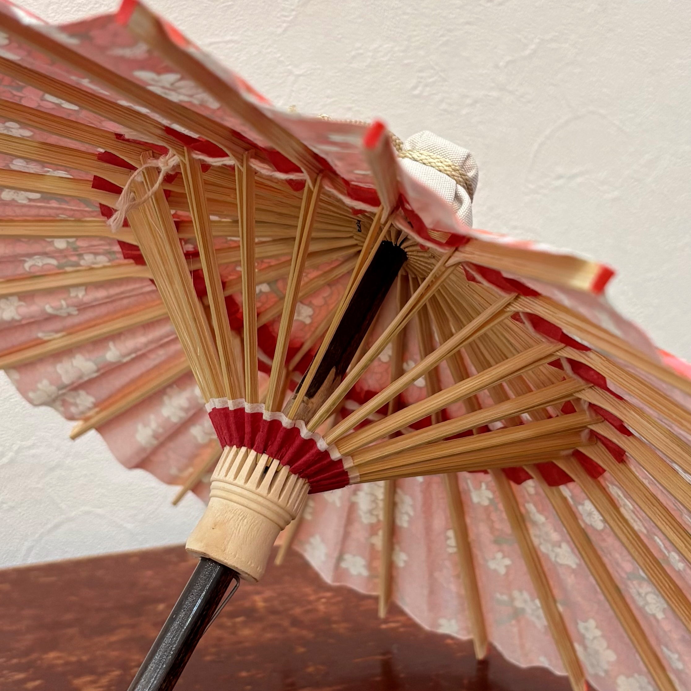 姫和傘 『梅に青海波』赤