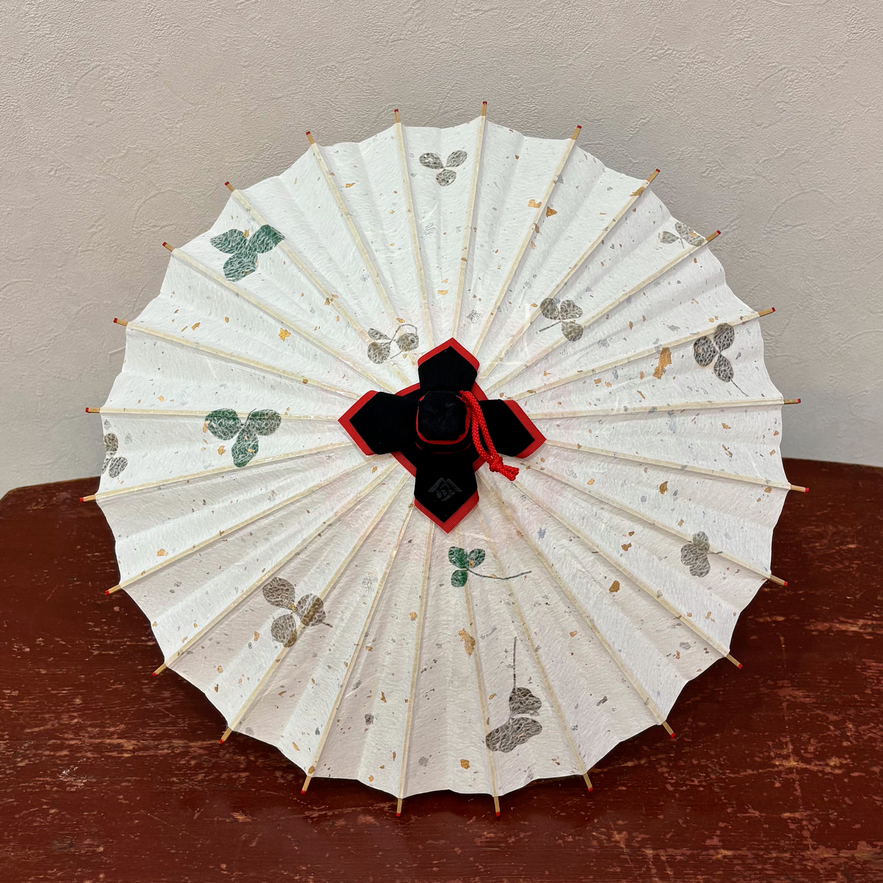 姫和傘 大寸 　葉入りクローバー