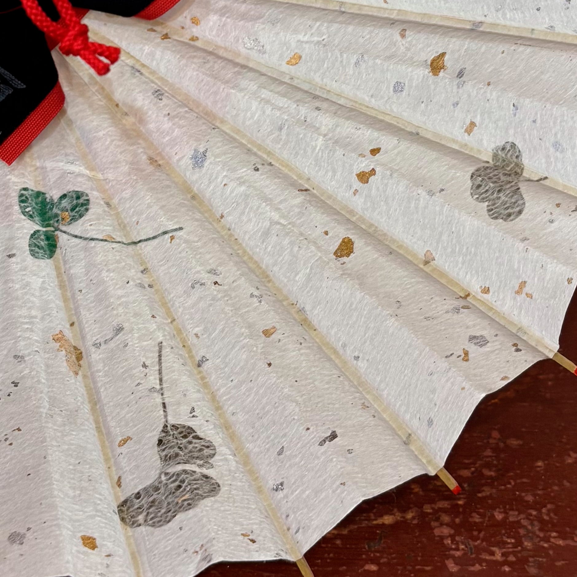 姫和傘 大寸 　葉入りクローバー