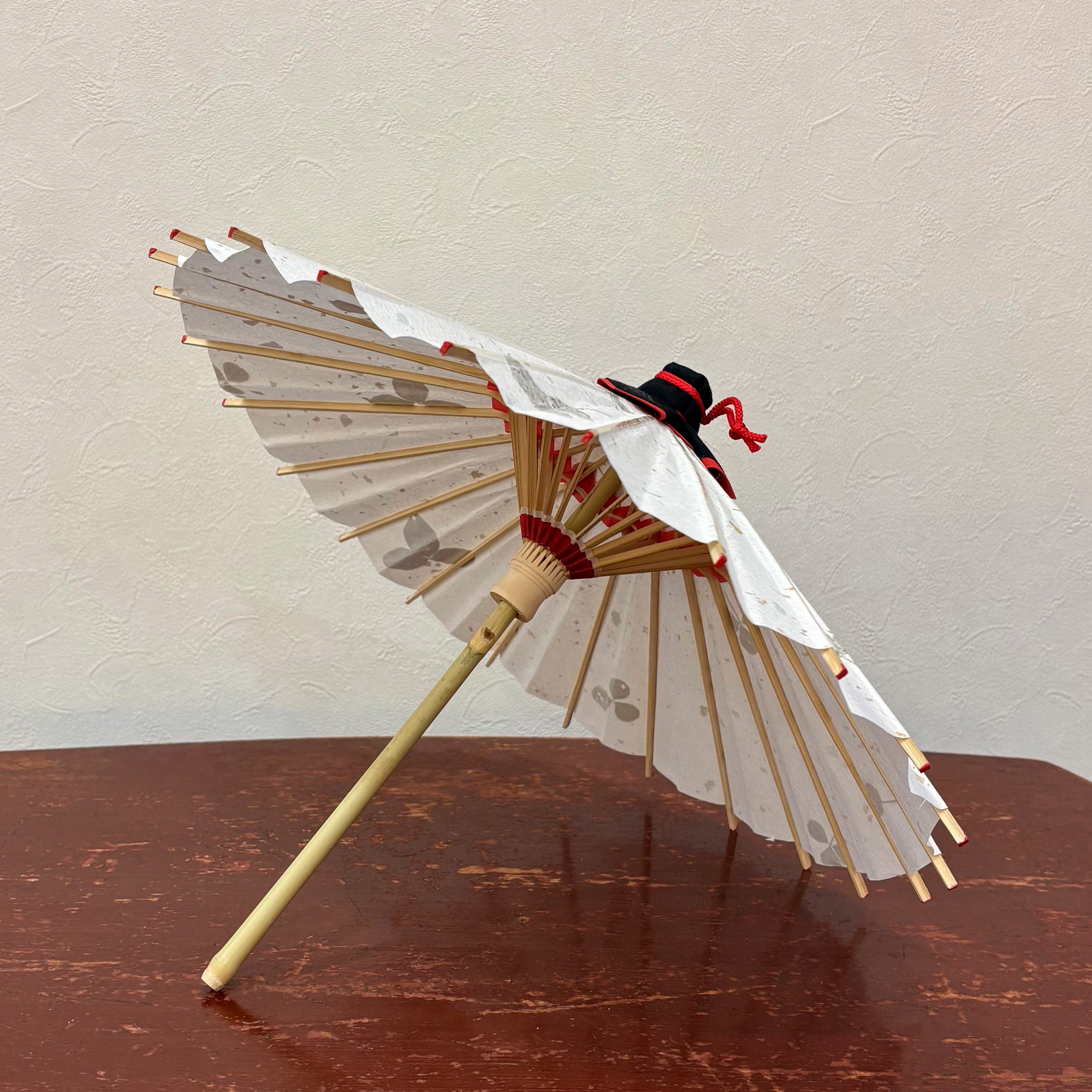 姫和傘 大寸 　葉入りクローバー