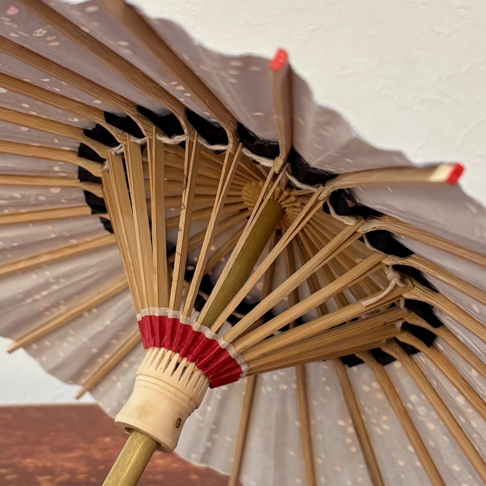 姫和傘 『枝に小梅』藍