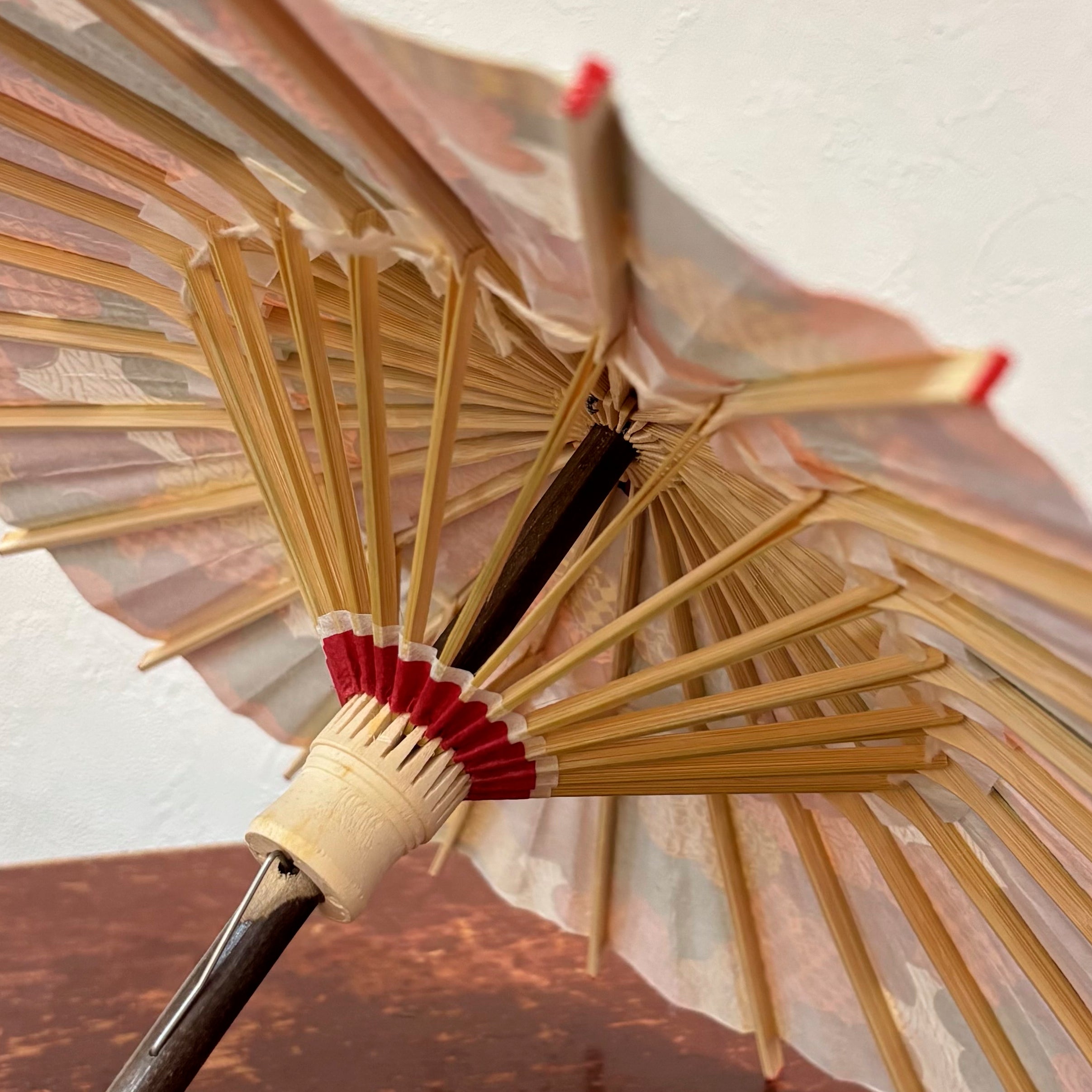 姫和傘 『光琳梅重ね』クリア漆